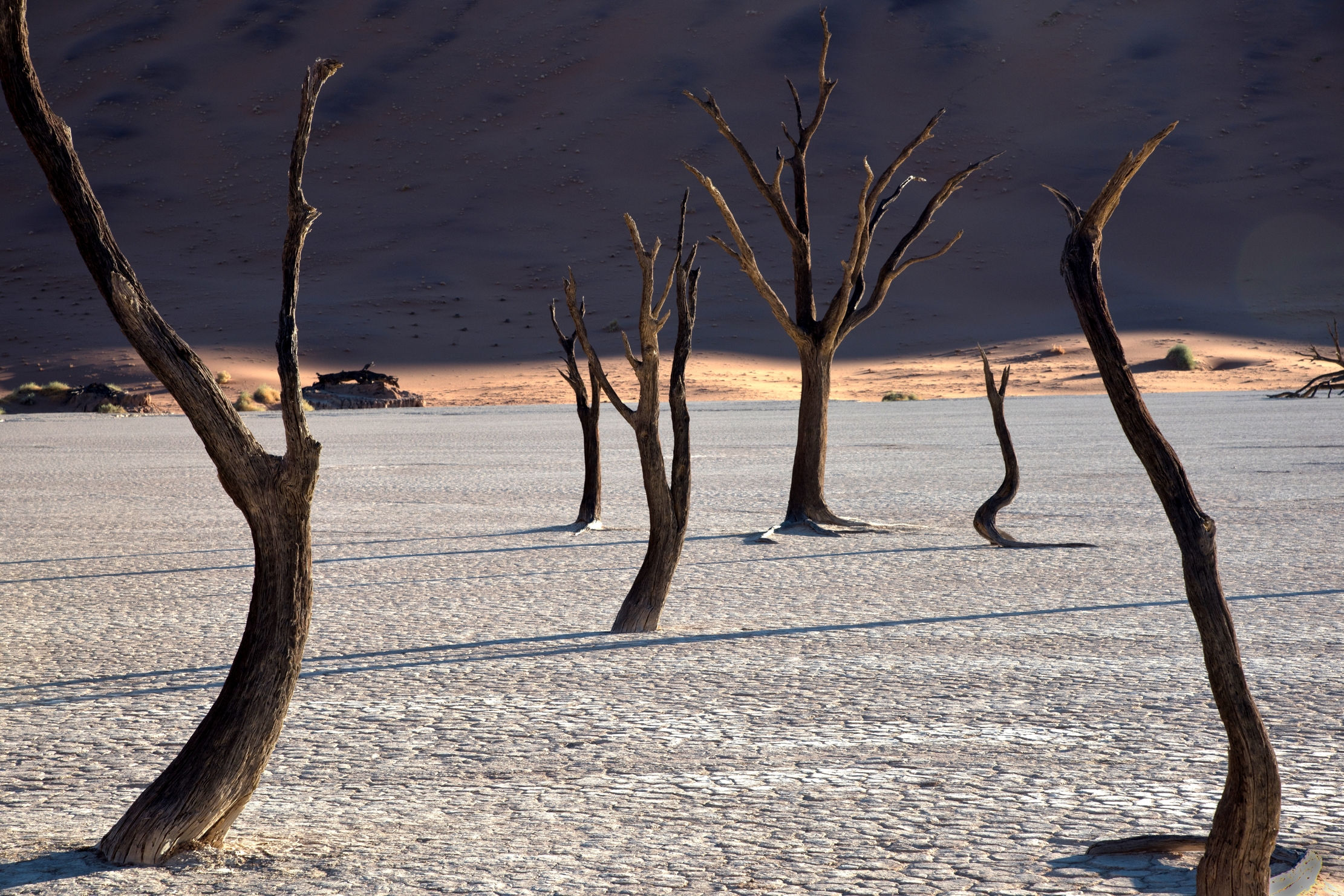 Deserto del Namib - Dadvlei