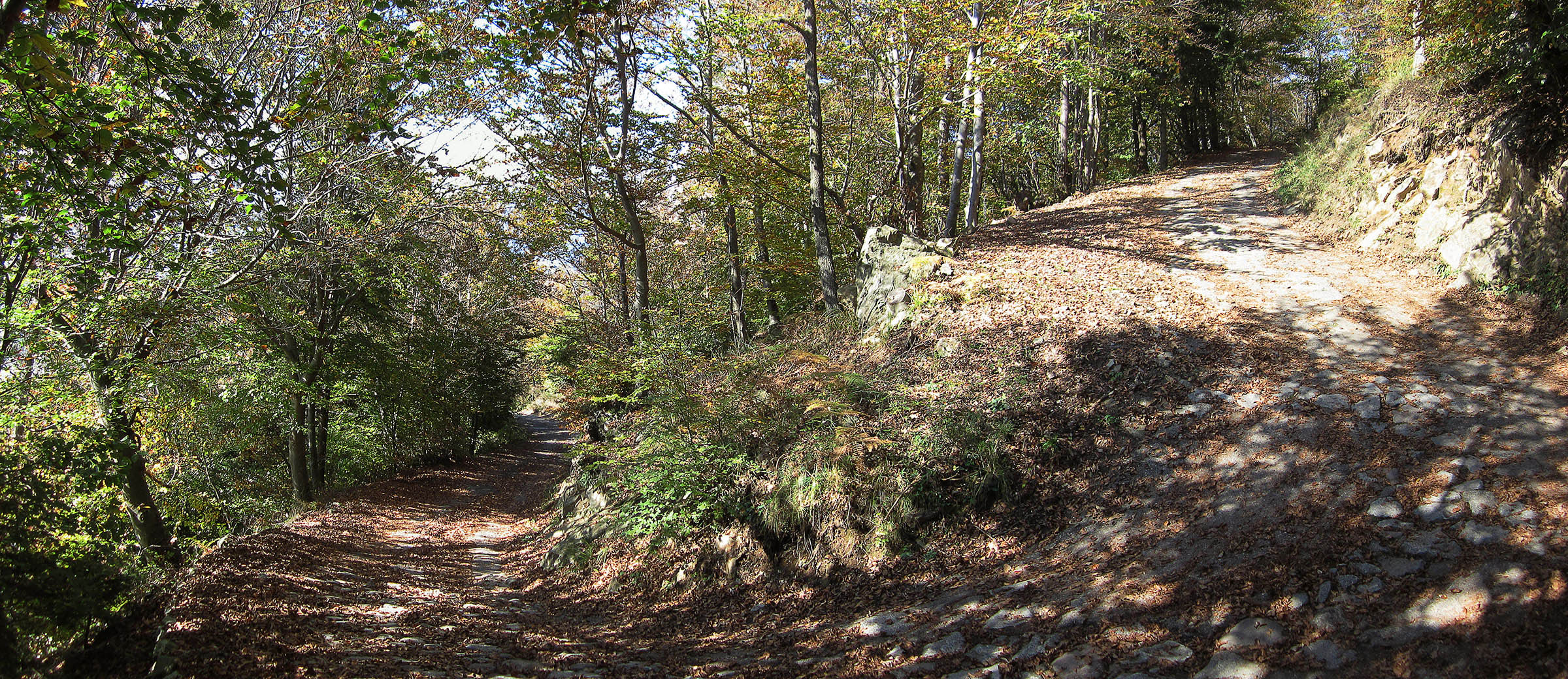 Artogne - Loc. Albere