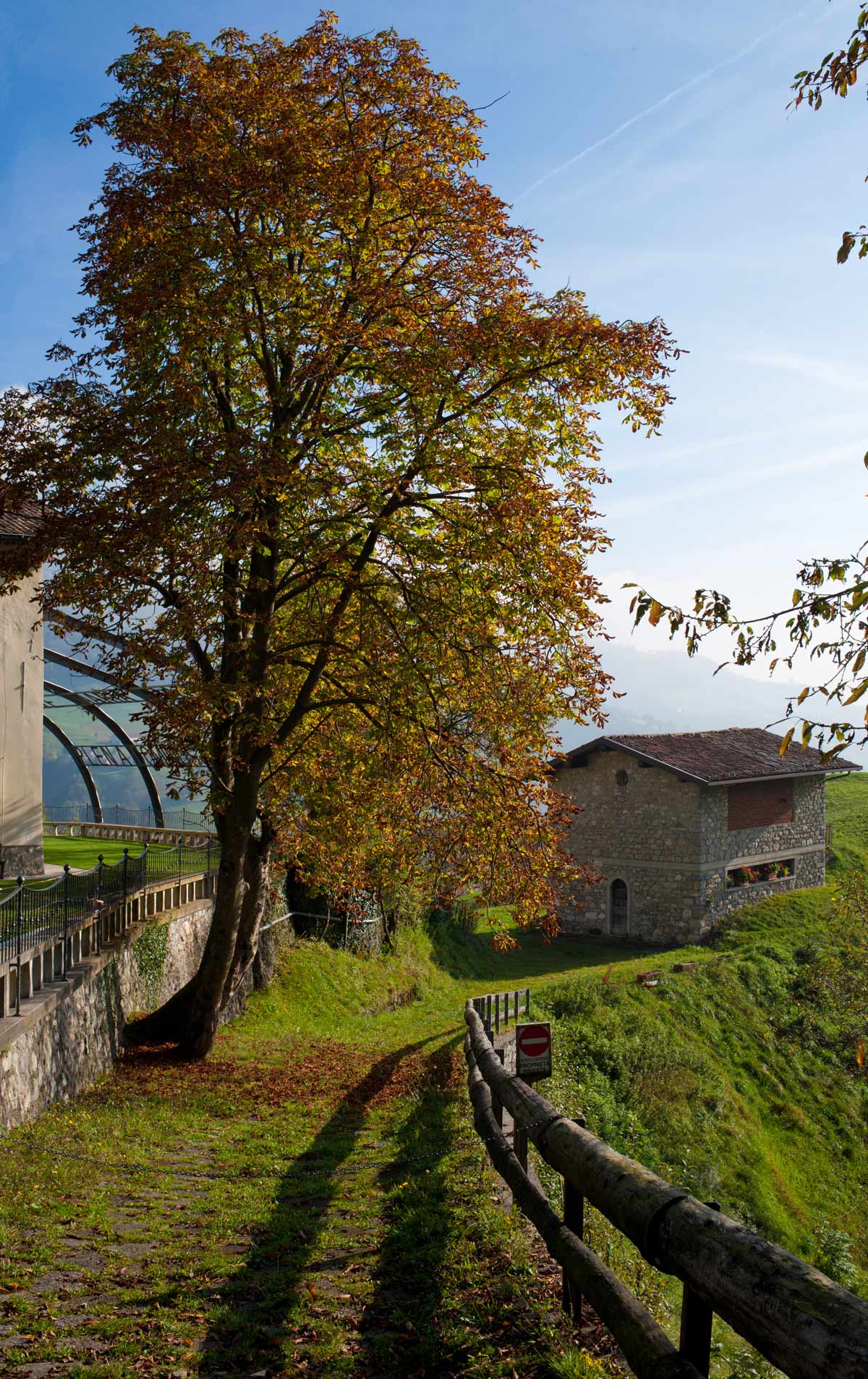 the colors of autumn