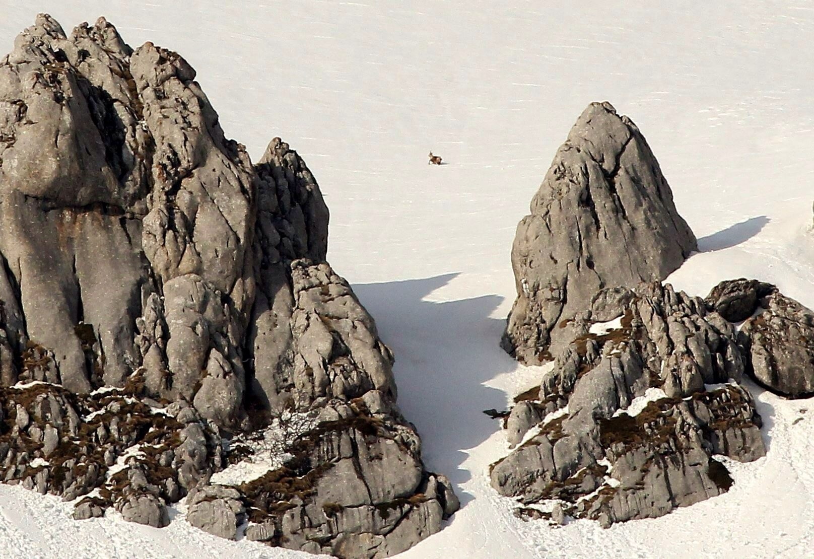 Monte Cefalone nei pressi di pizzo Cefalone Gran Sasso