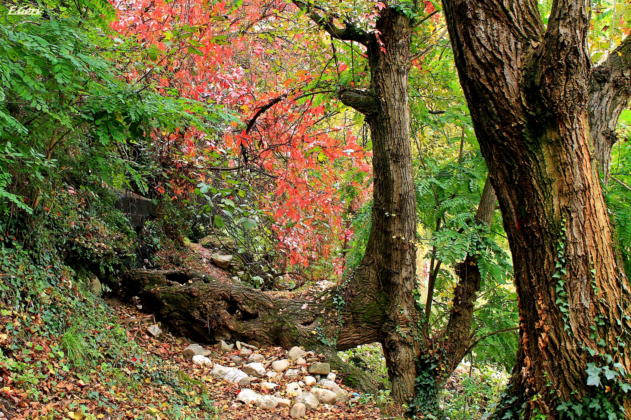 where I go to read fairy tales