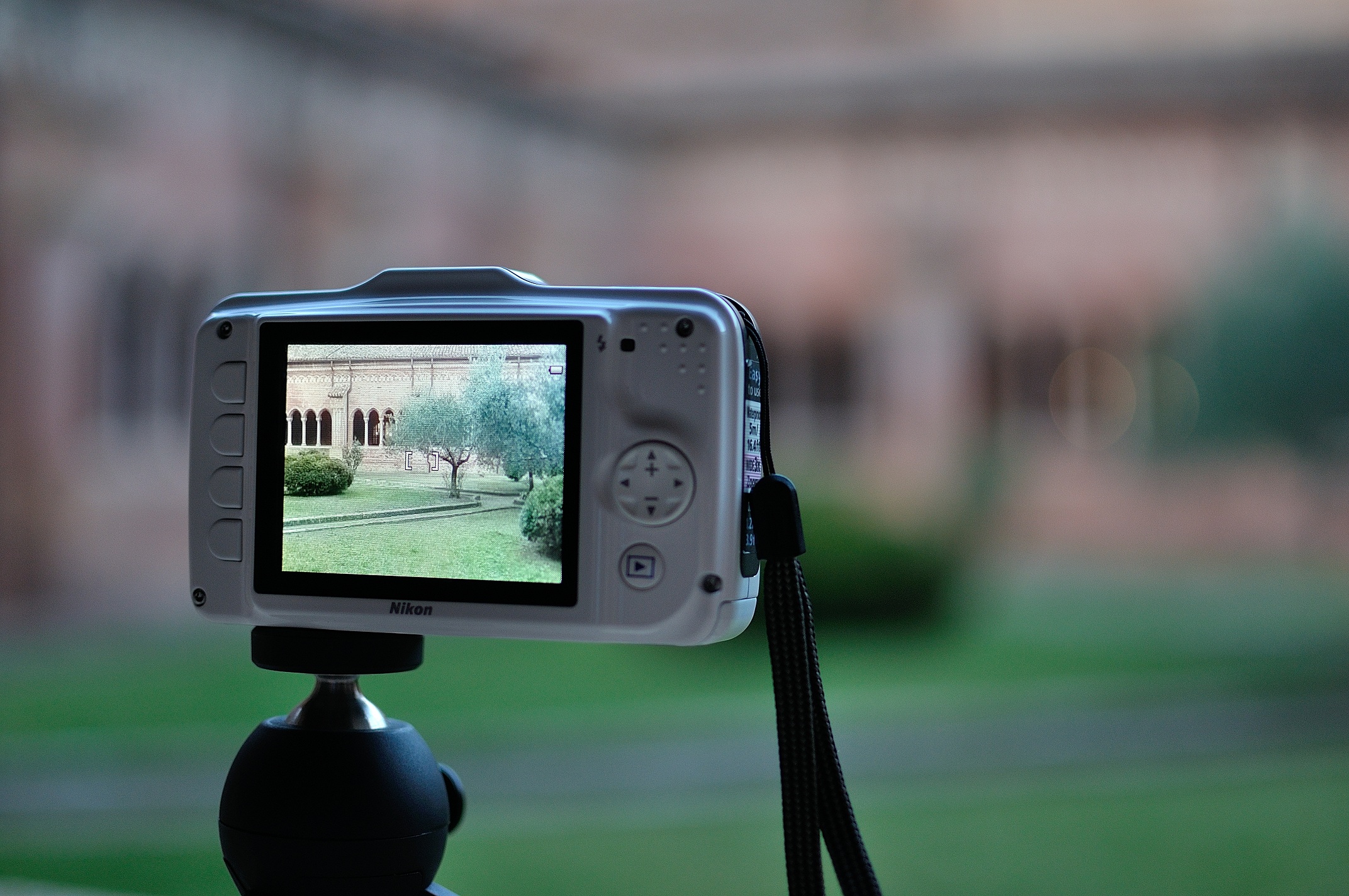 Small photographers grow