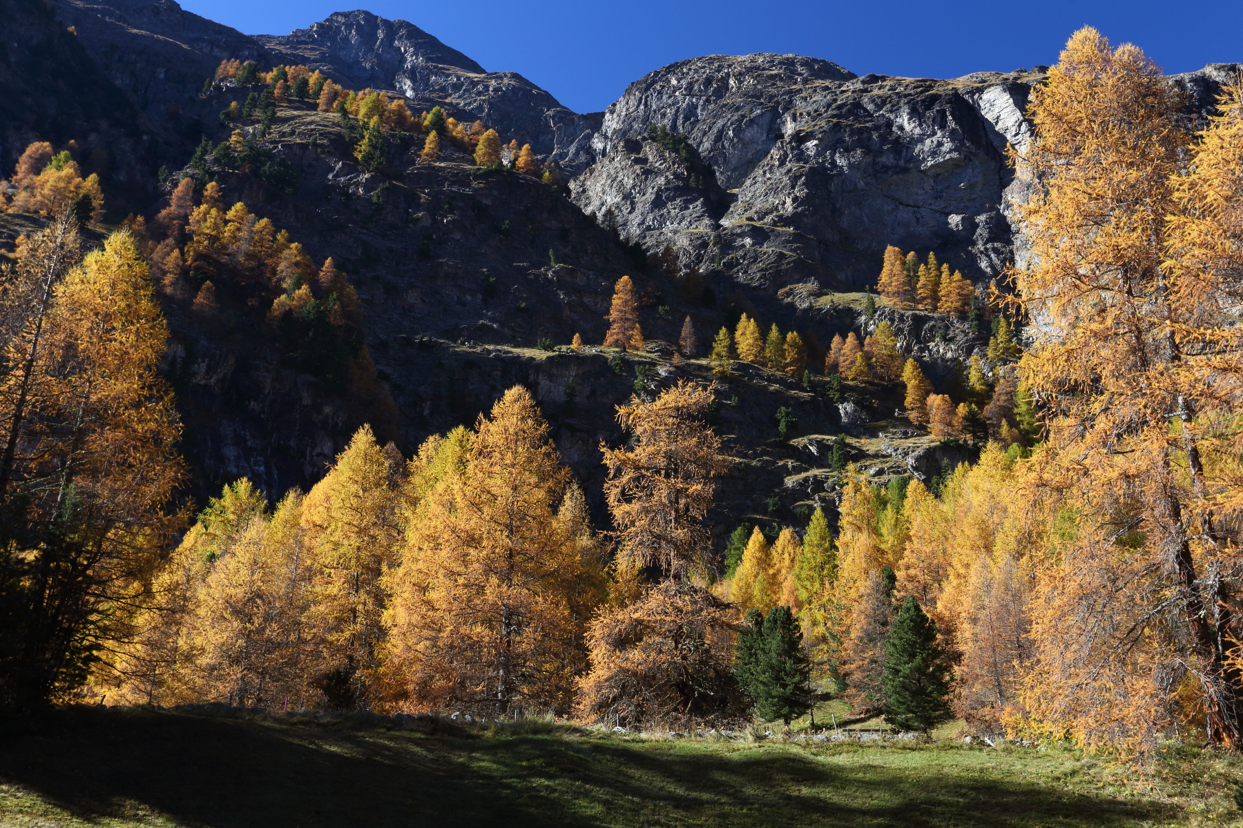 Autumn in Val Rosegg