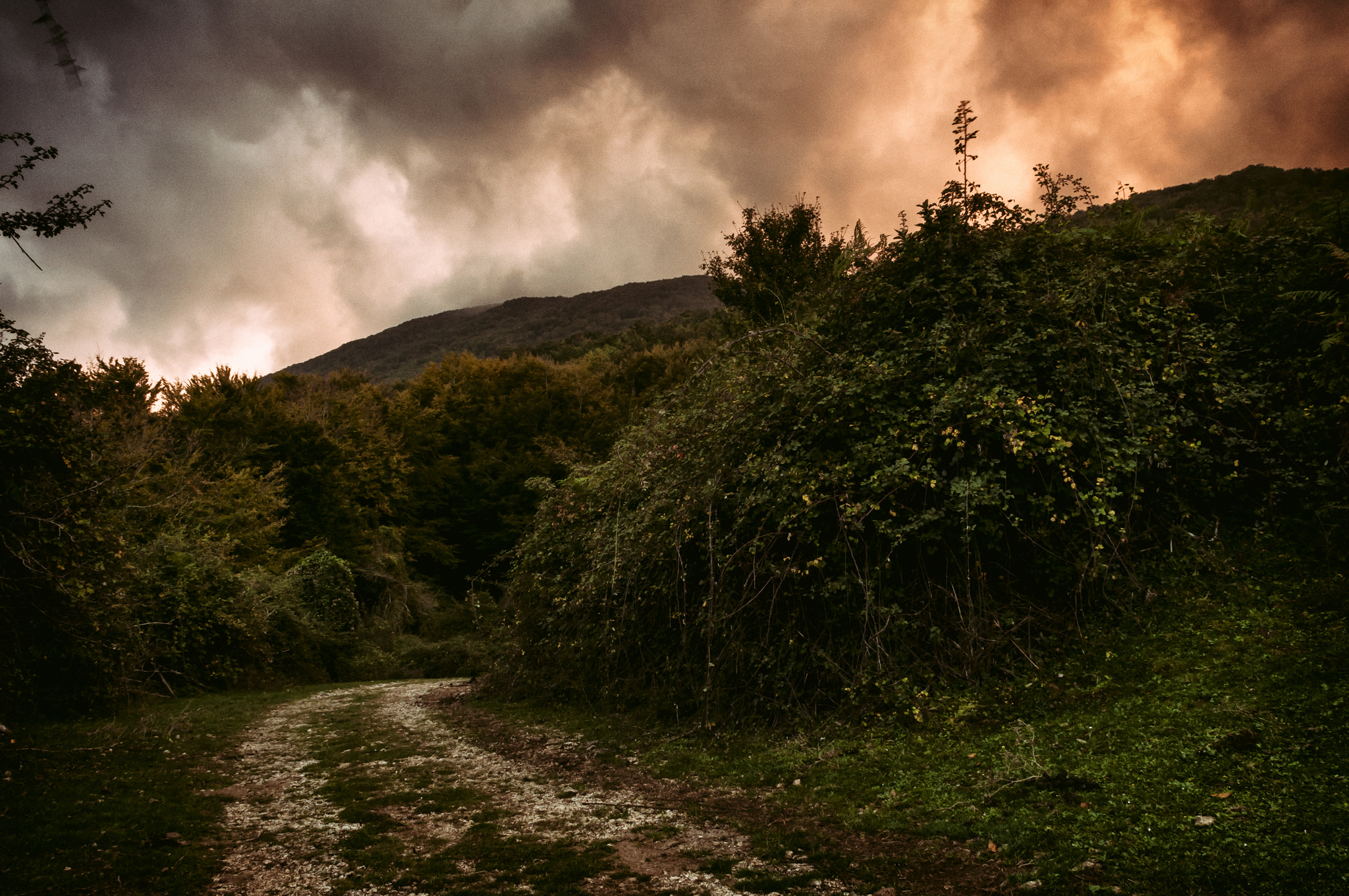 That path to the anguish