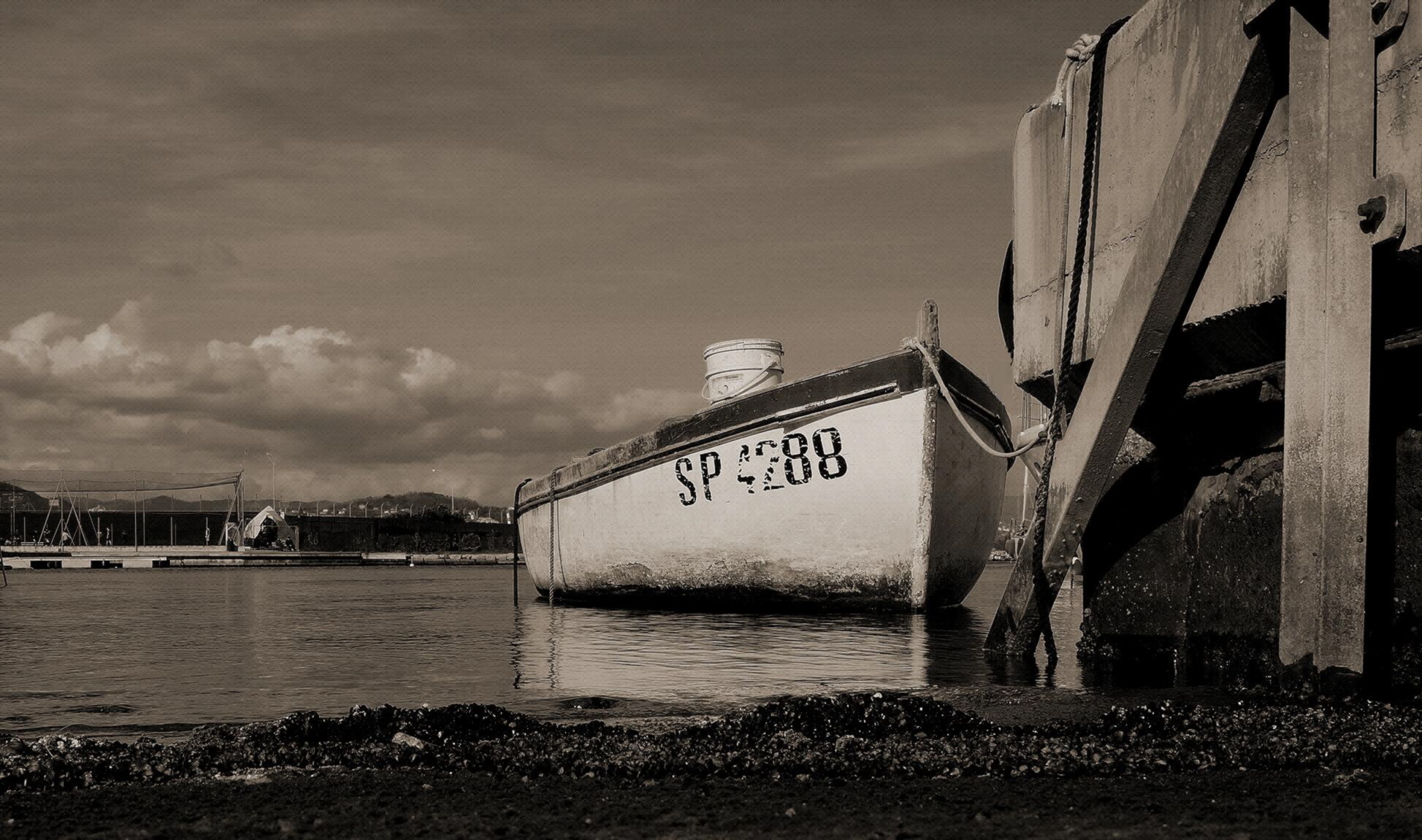 Il vecchio protagonista