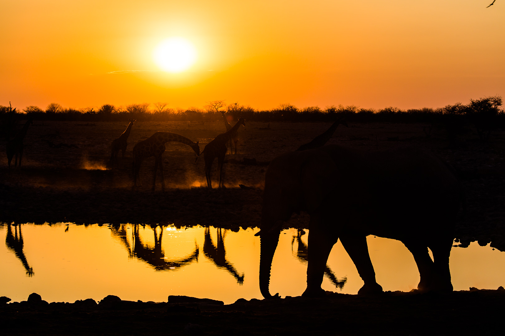 Water, source of life