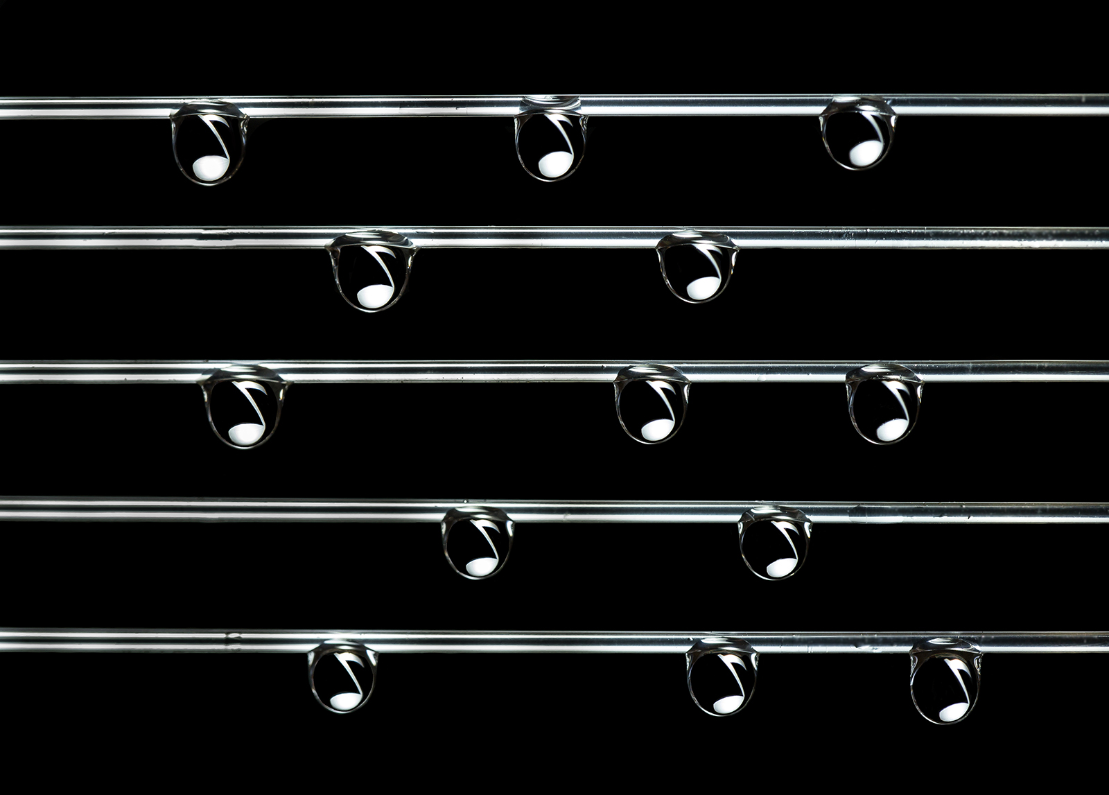 The symphony of 'water