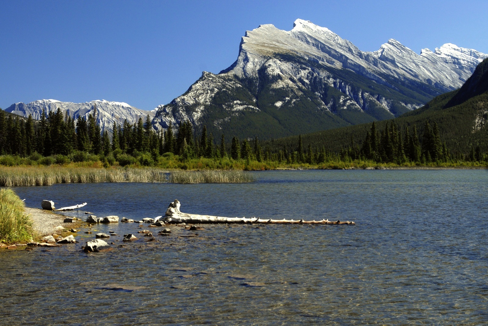 Ultimo giorno in Canada
