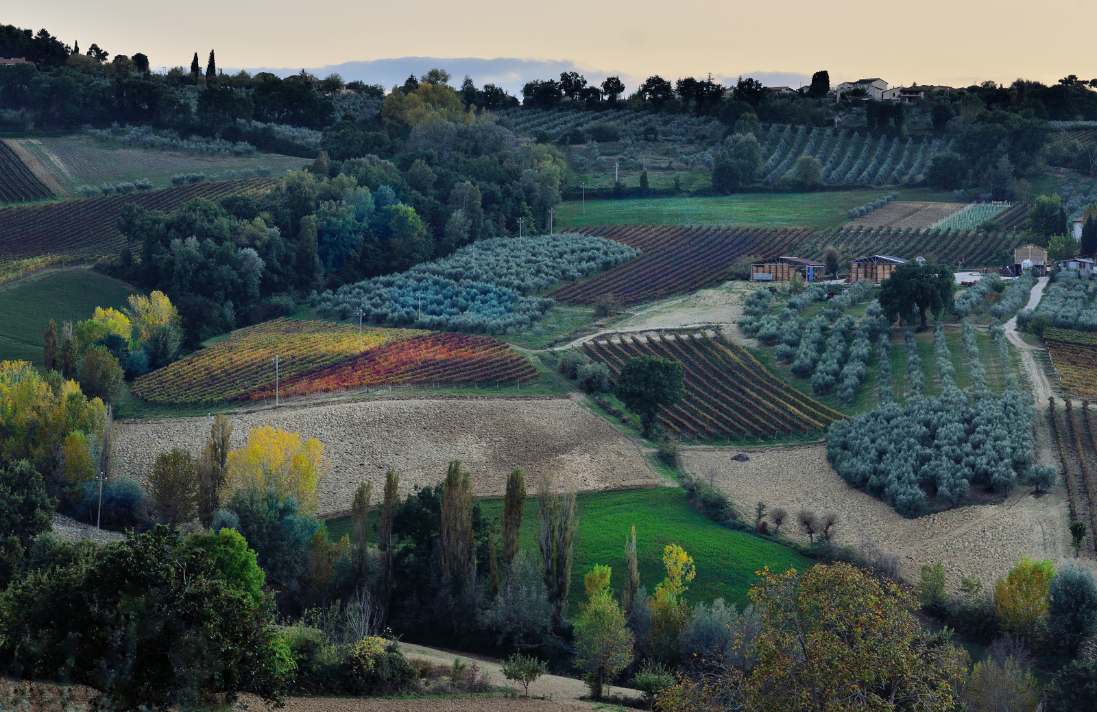 The first and the hills of Montepennino (Montefalco- Umbria)