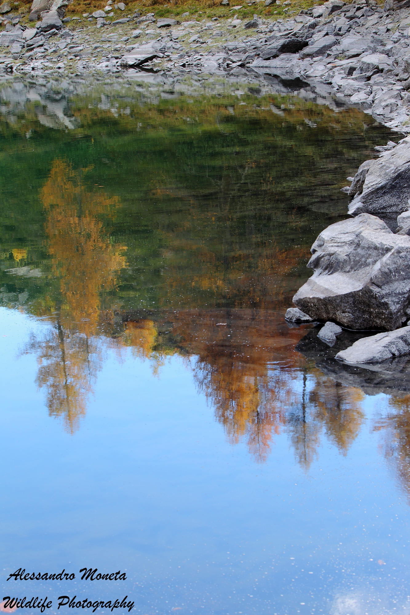 Reflections of autumn
