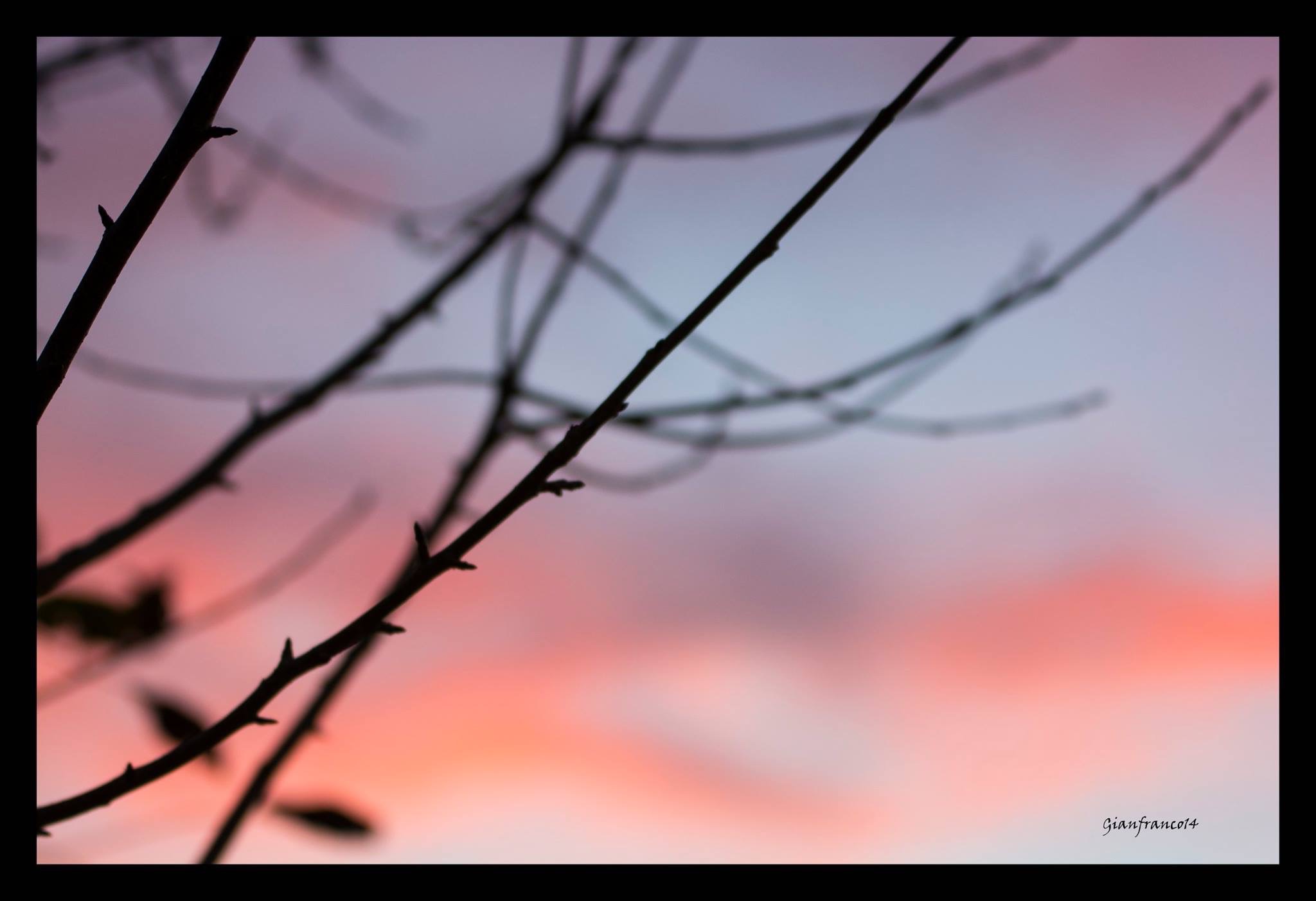 Inseguendo il calar del sole