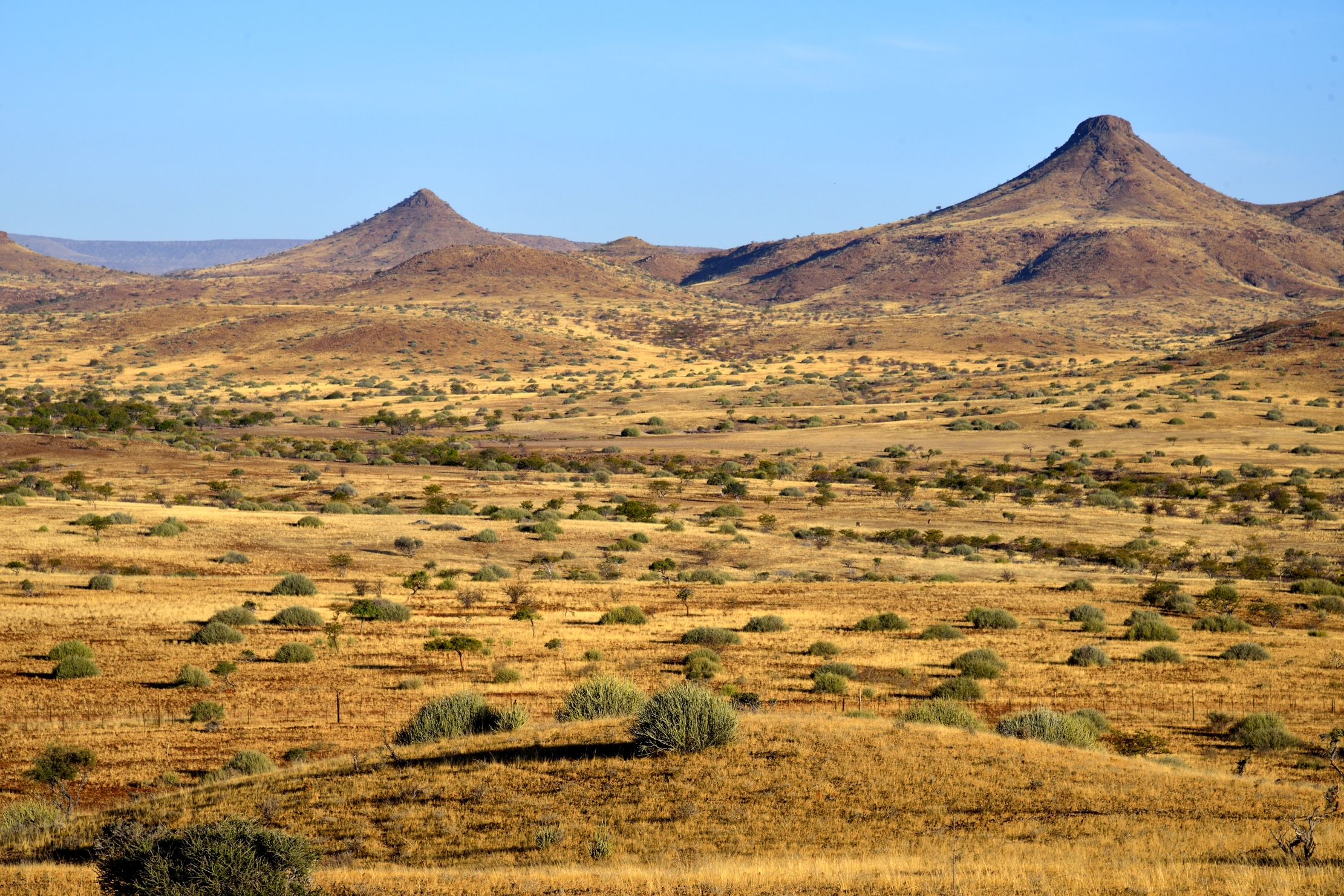 Damaraland