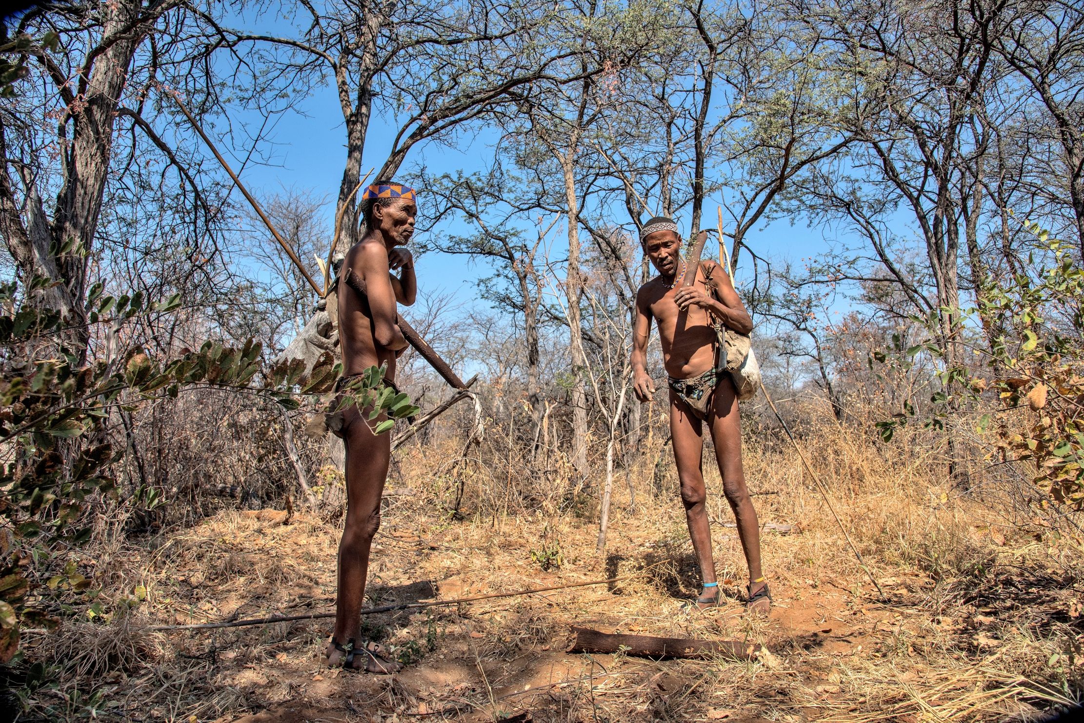 Bushmanlamd - Cacciatori Boscimani