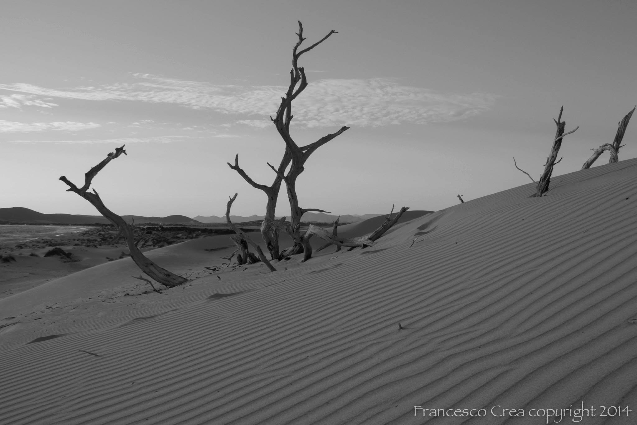 Le Dune di Porto Pino
