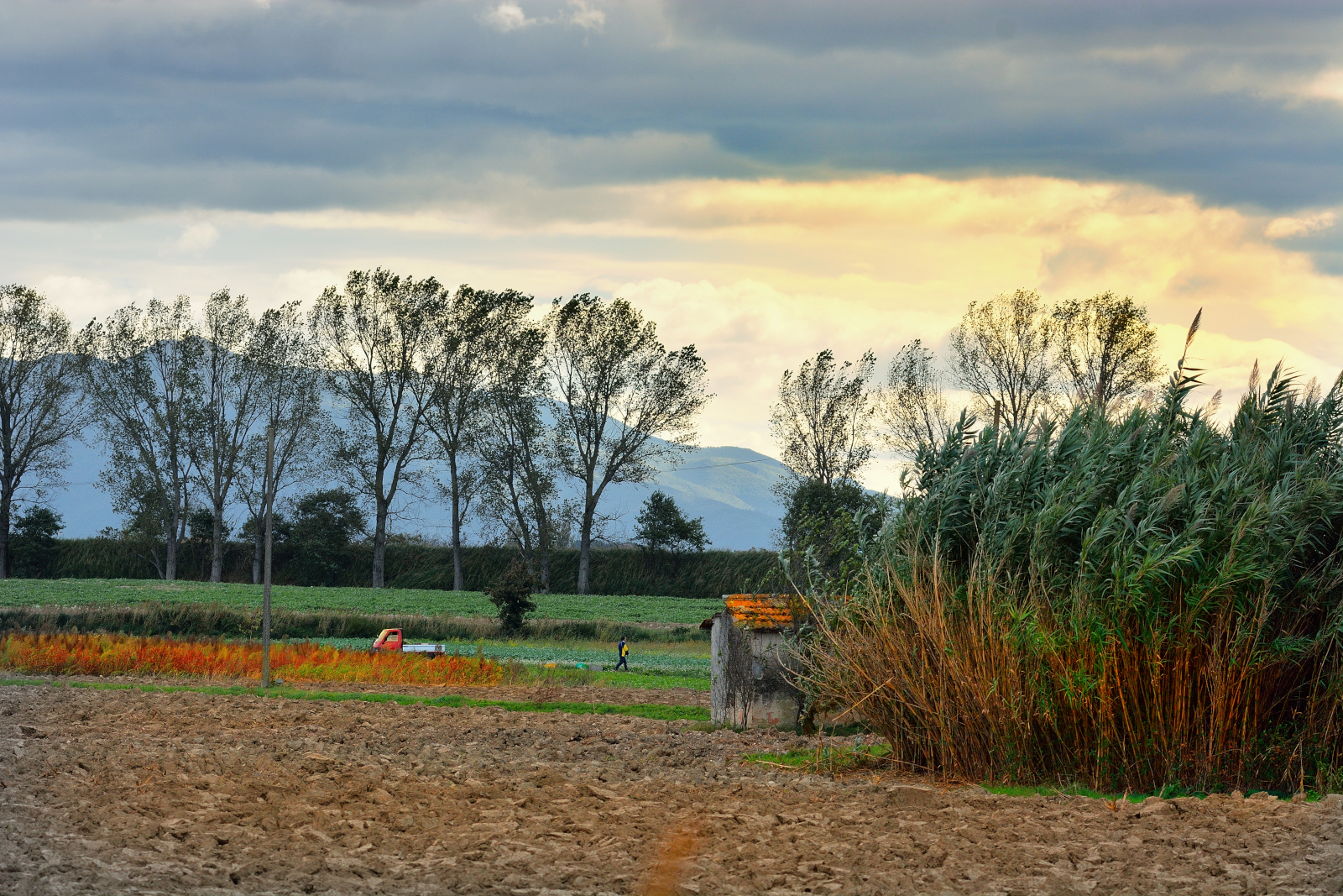 Umbrian countryside