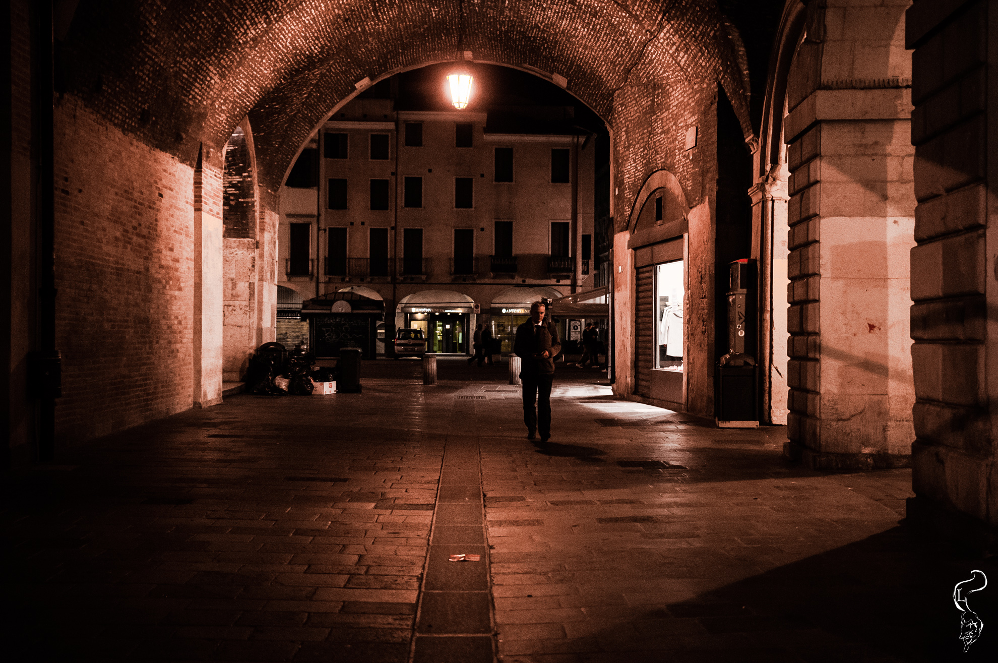 Camminando nella notte