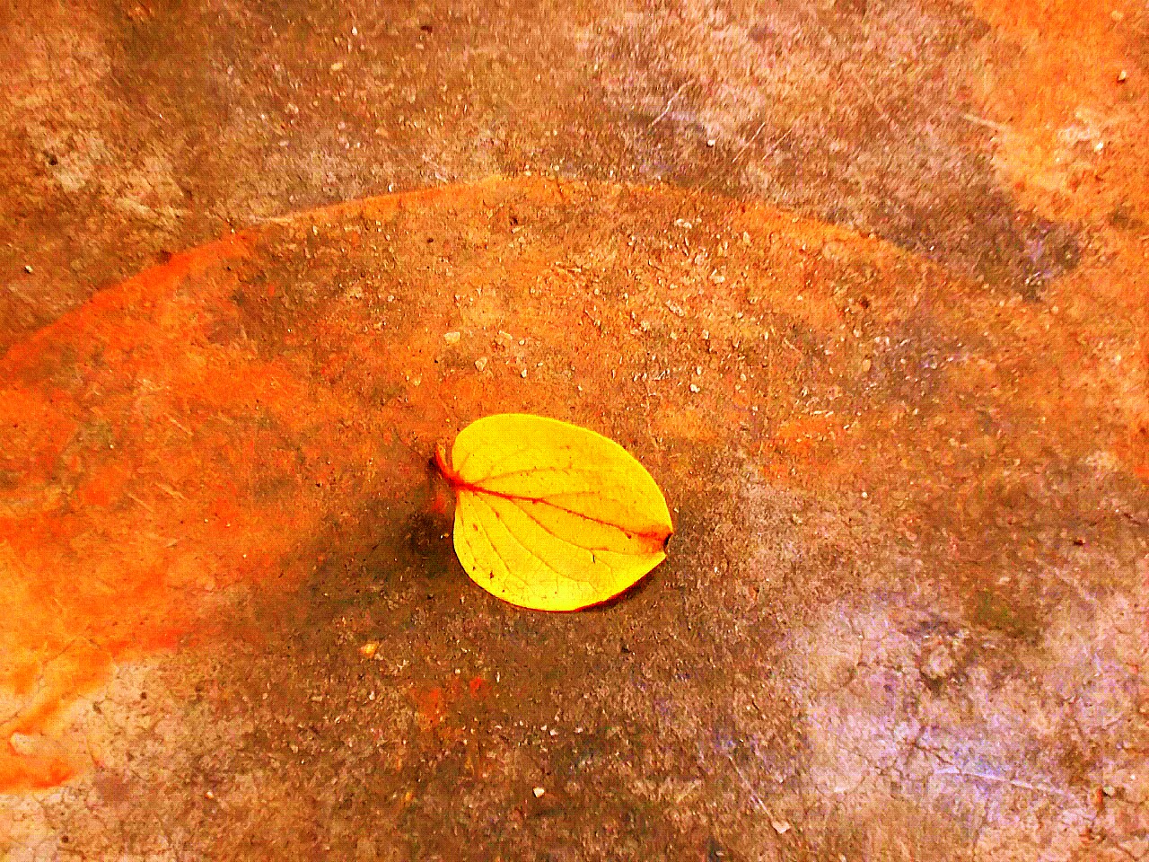 The yellow leaf