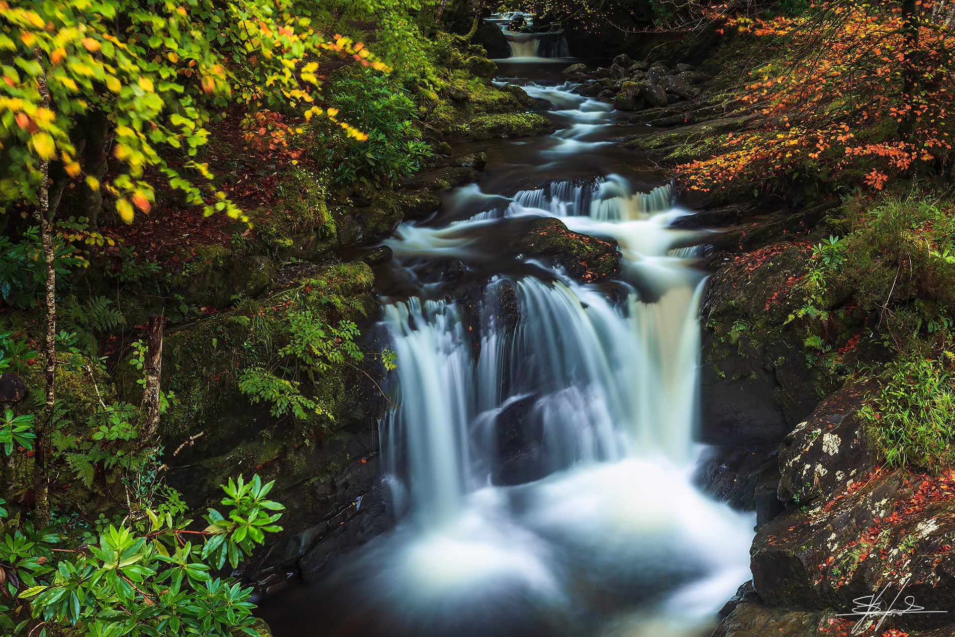 Killarney National park
