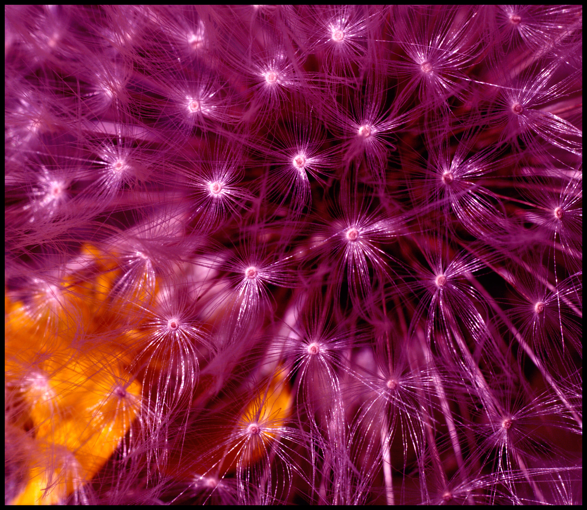 breath of imagination