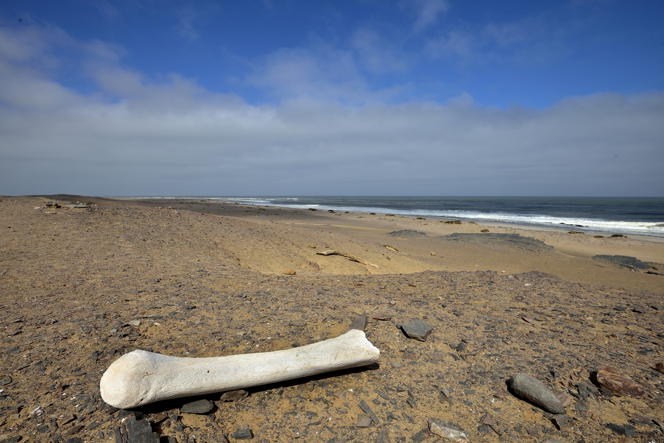 Skeleton Coast