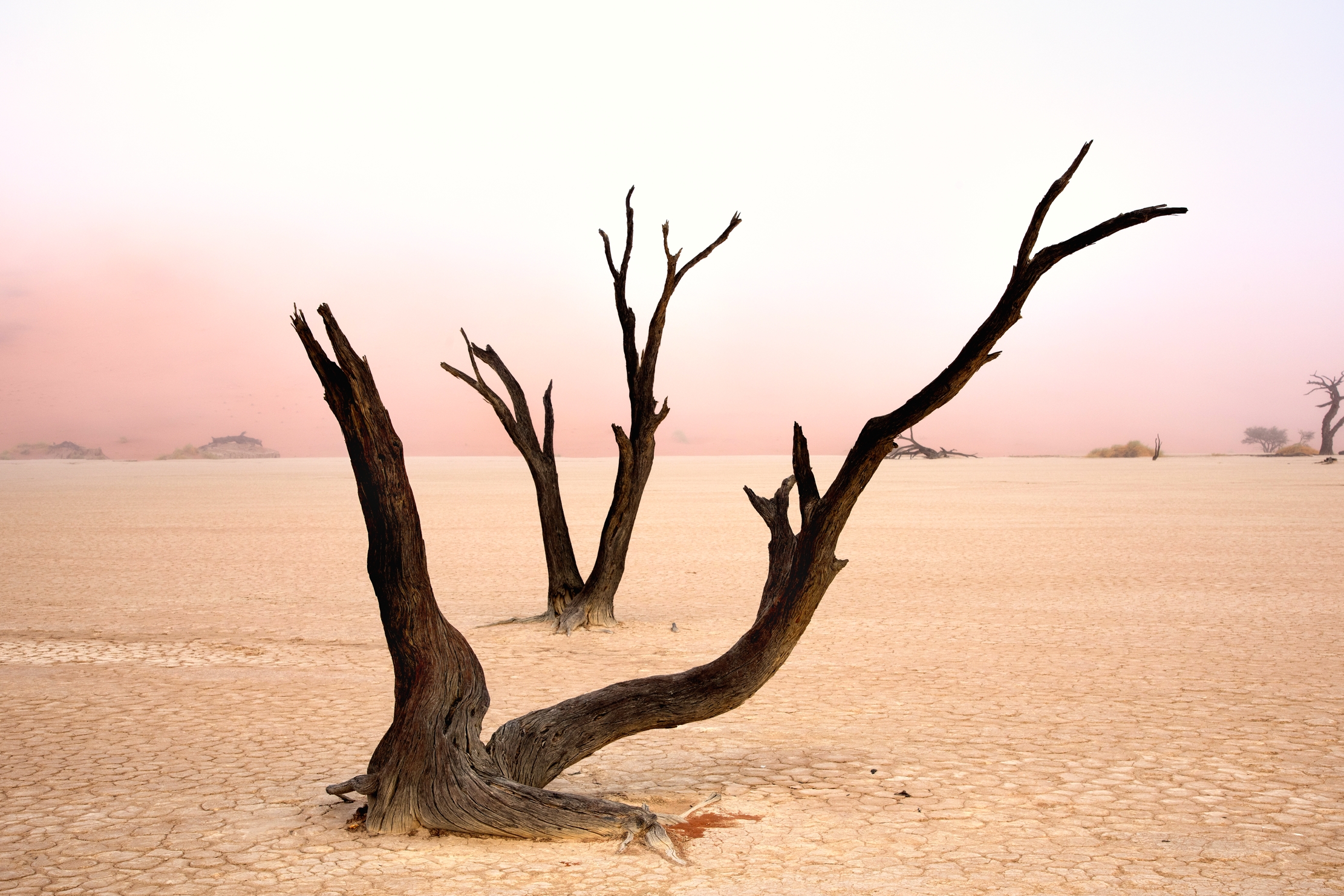 Deserto del Namib - Deadvlei