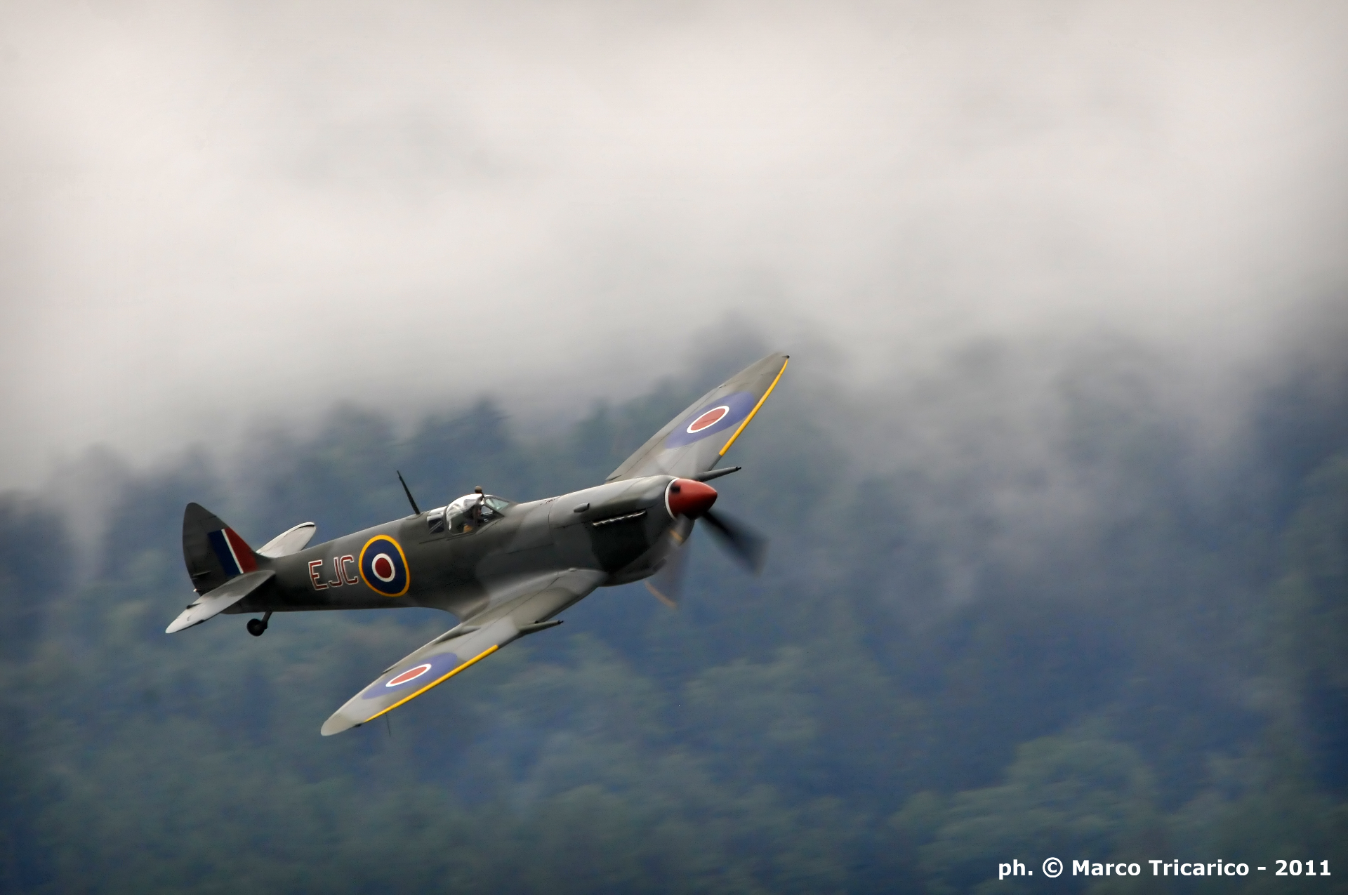 Cacciatore solitario