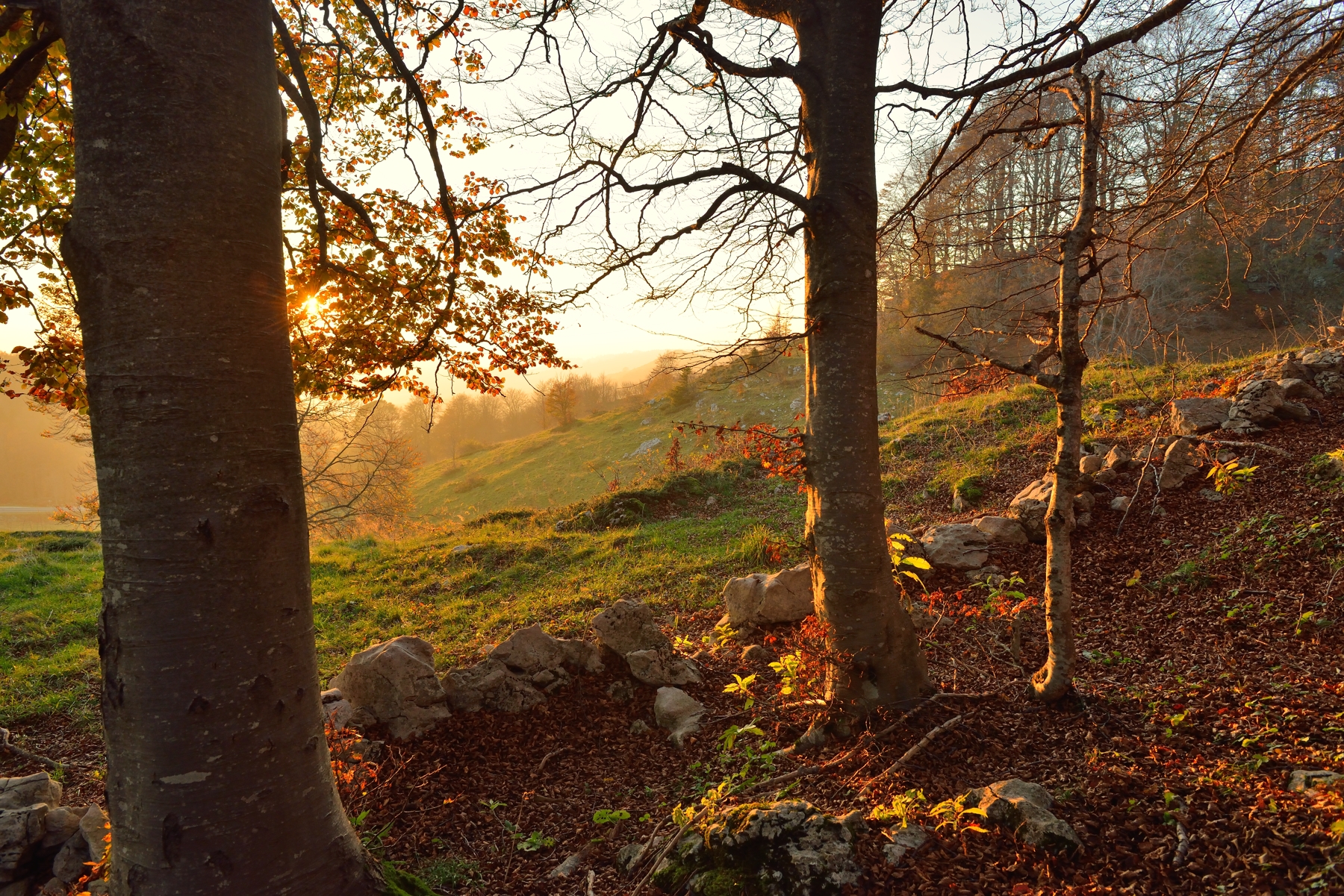 Towards evening Lessinia
