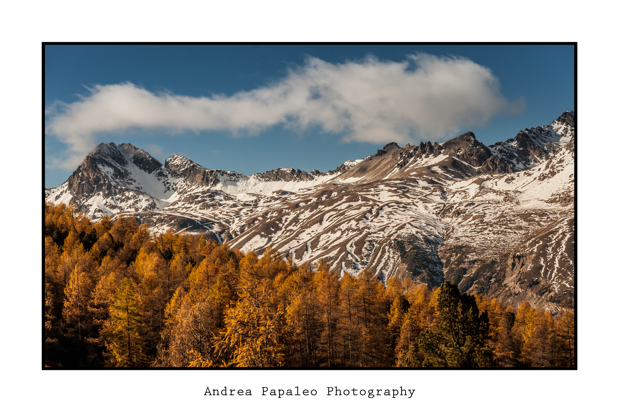 Contrasti autunno/invernali
