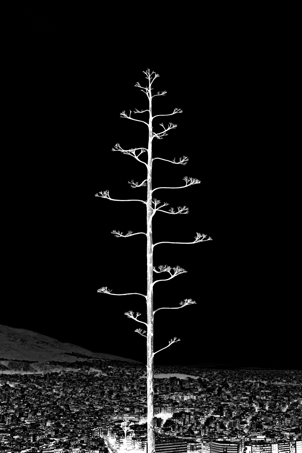 Solo una questione di prospettiva