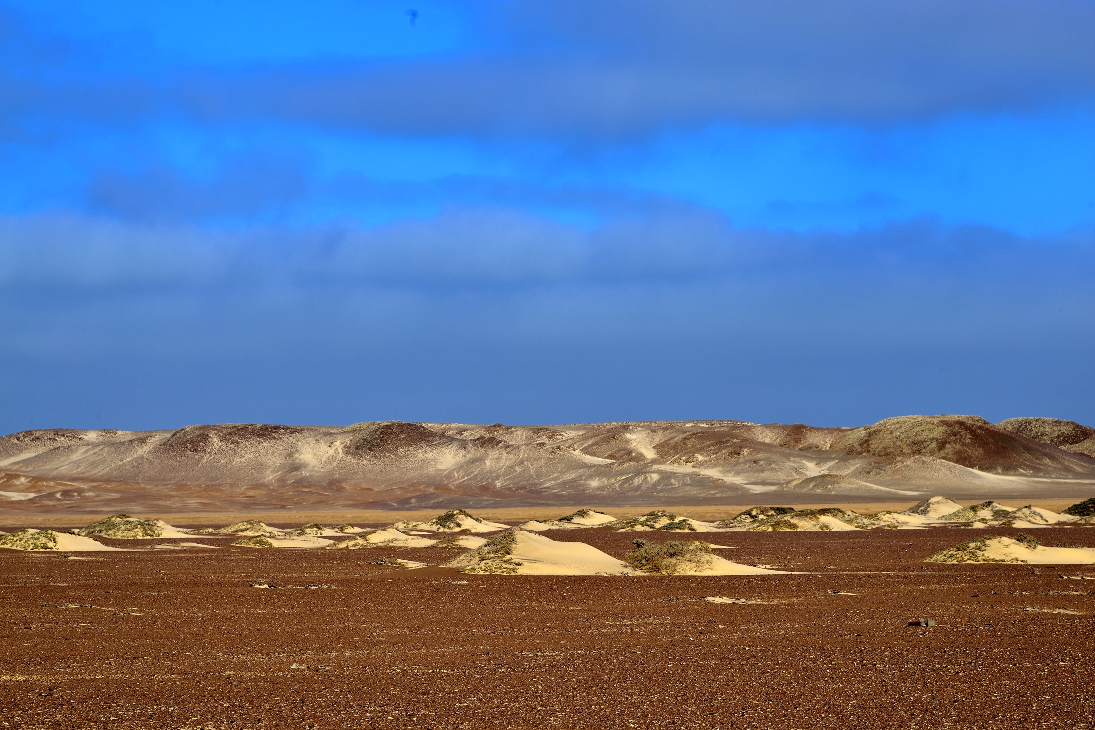 Deserto del Namib