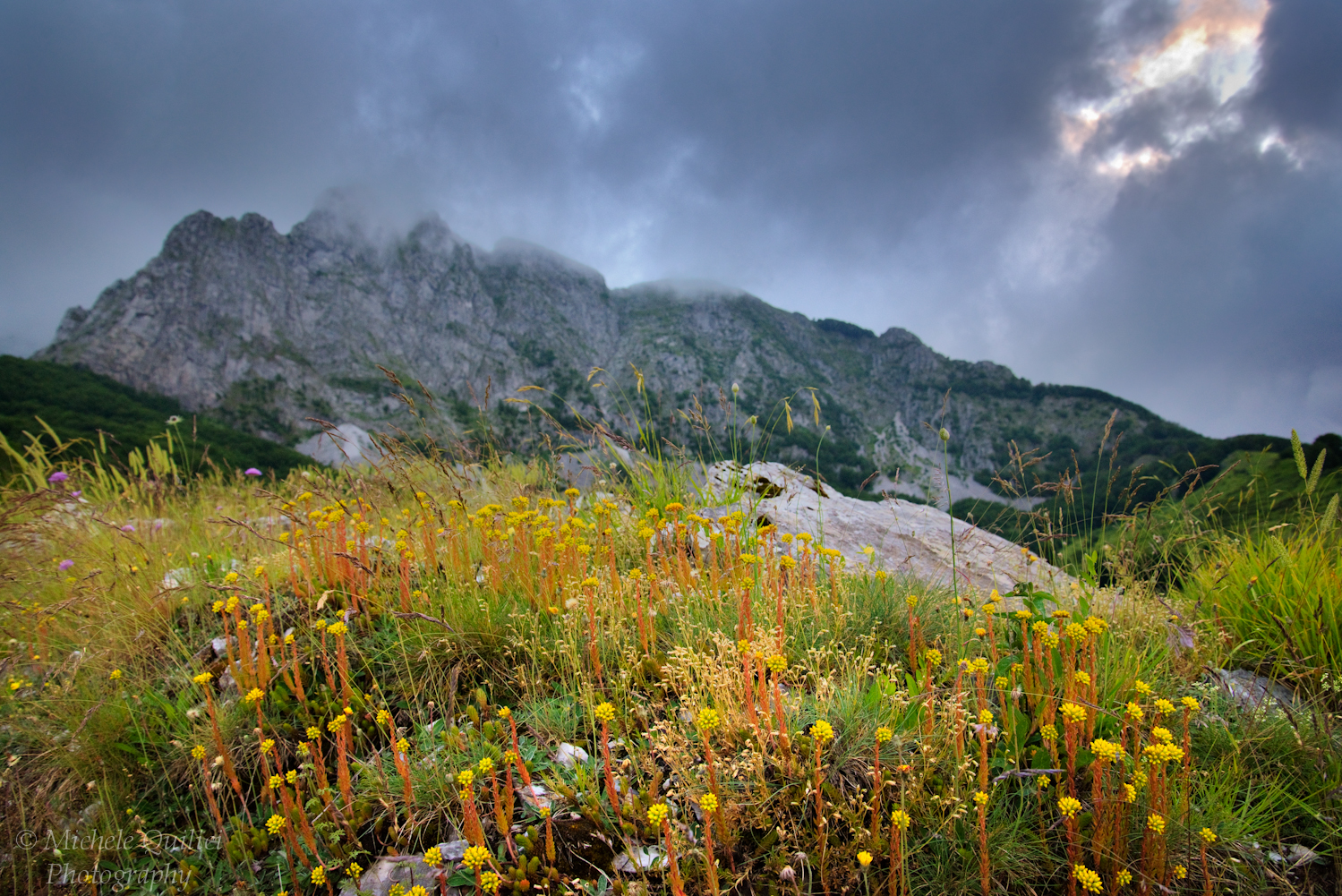 Alpi Apuane, Campocatino