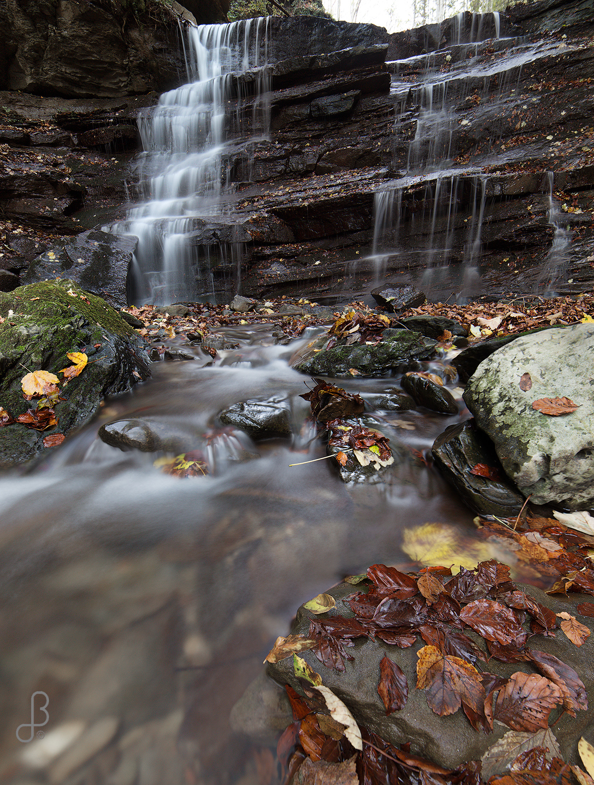 Autumn in the Casentino