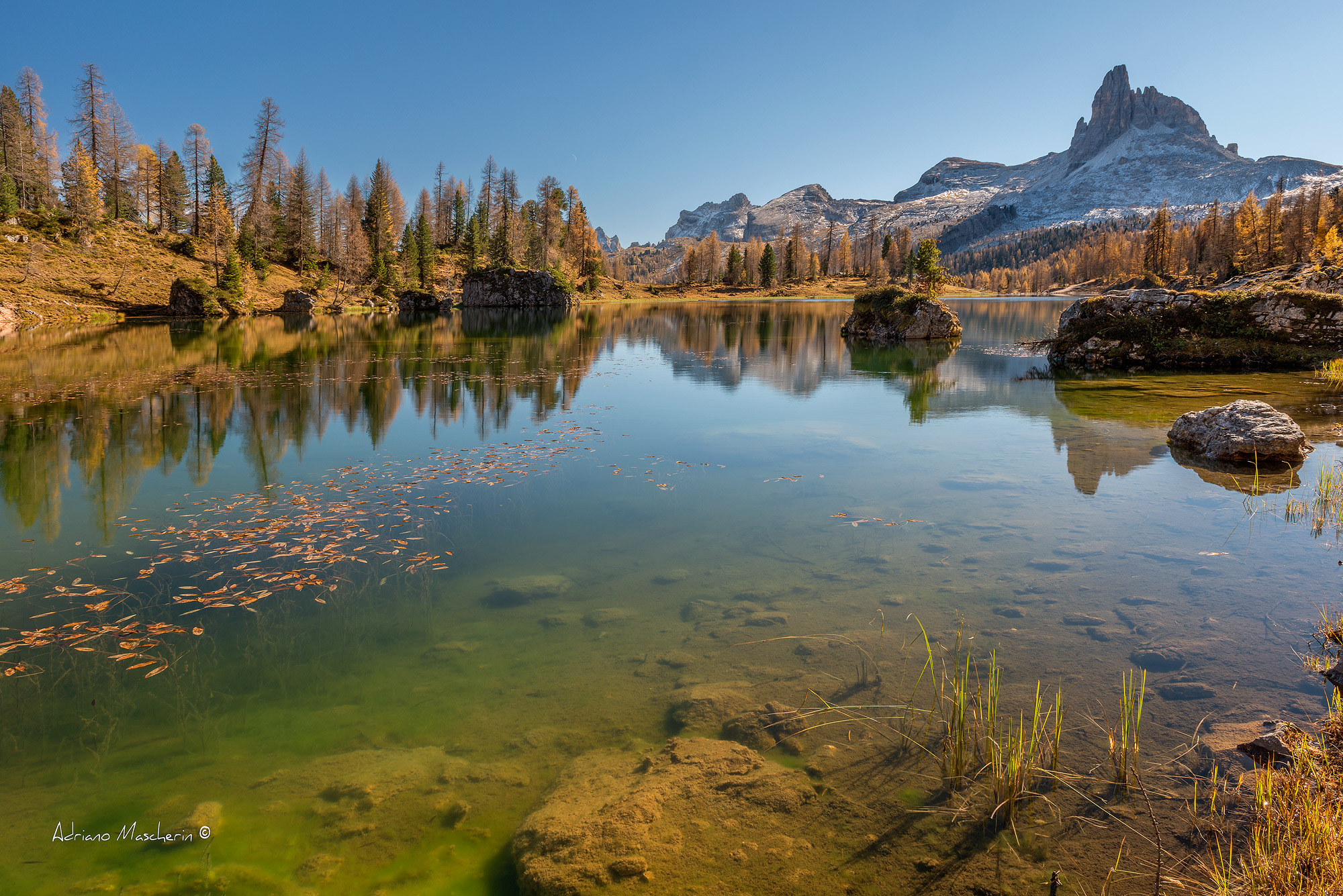 Giallo dominante....
