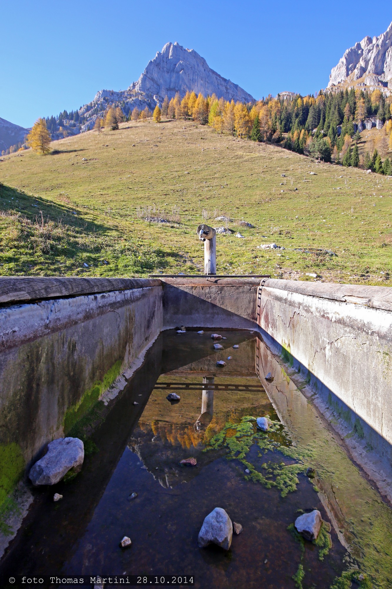 Reflection of the "Om"