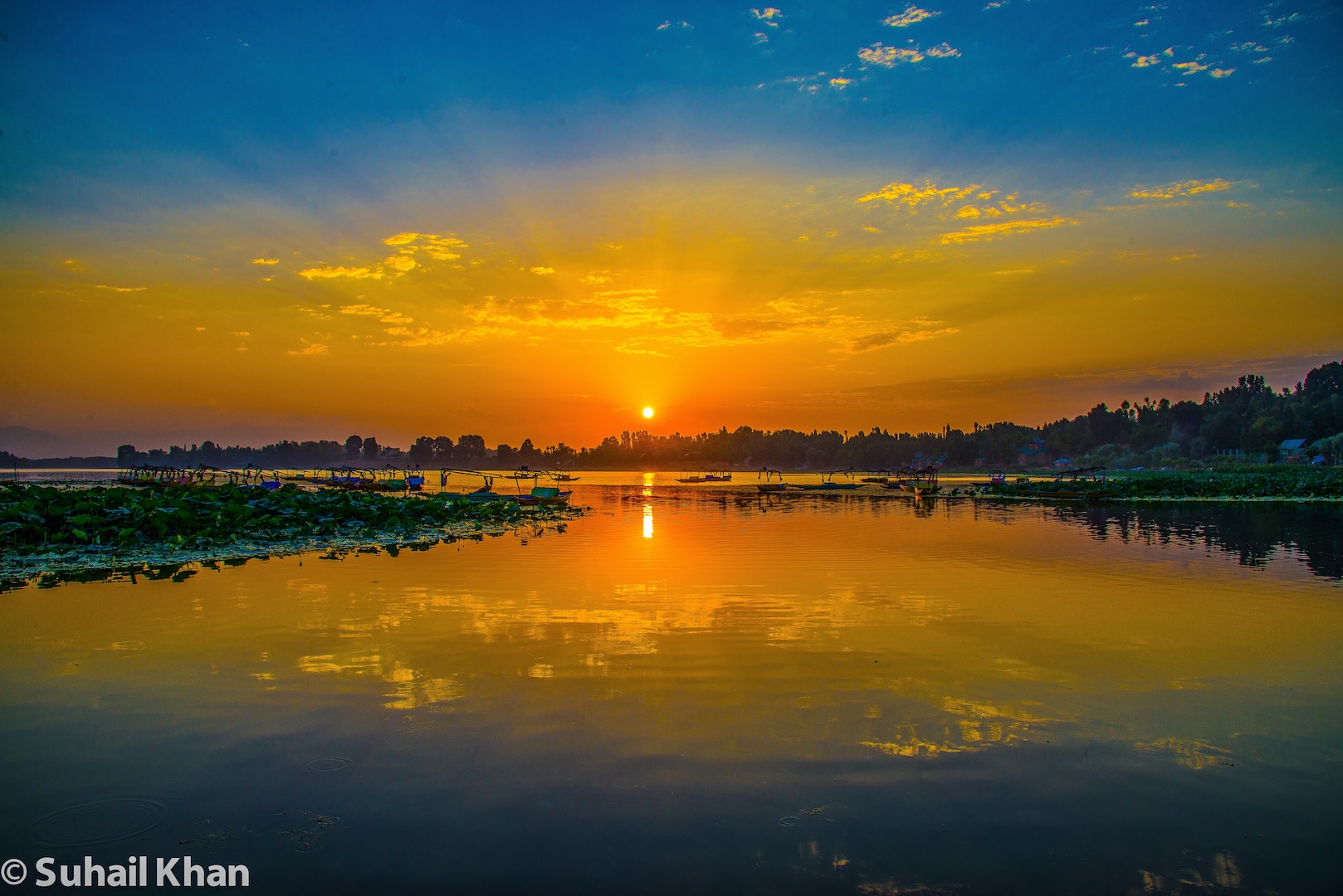 Manasbal lago, Kashmir, India.