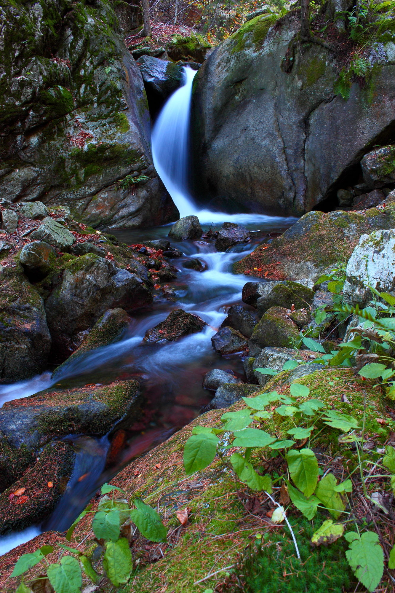 Waterfall in the Woods