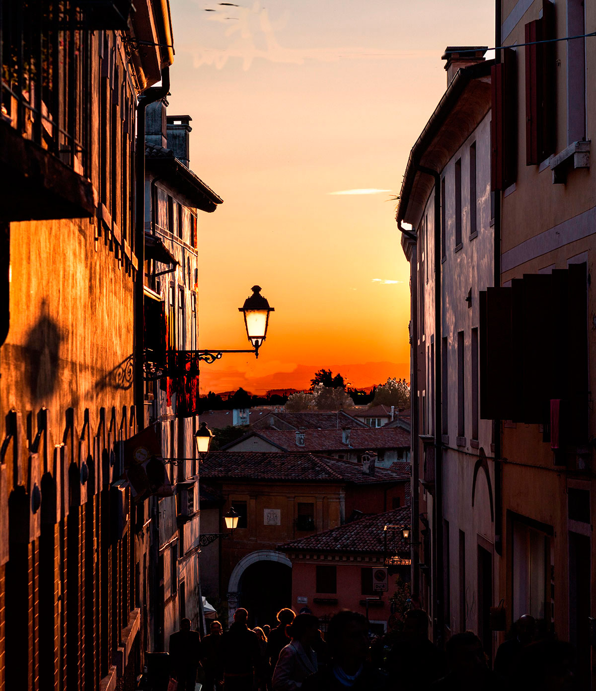 The evening light ...