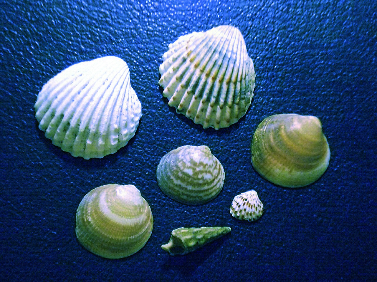 The impression of the sea