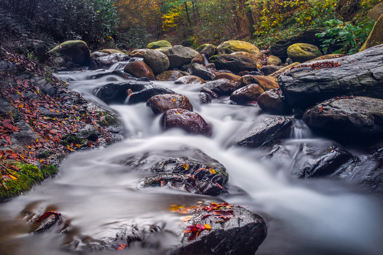 Rio di Gran Dubbione (TO)..in autunno