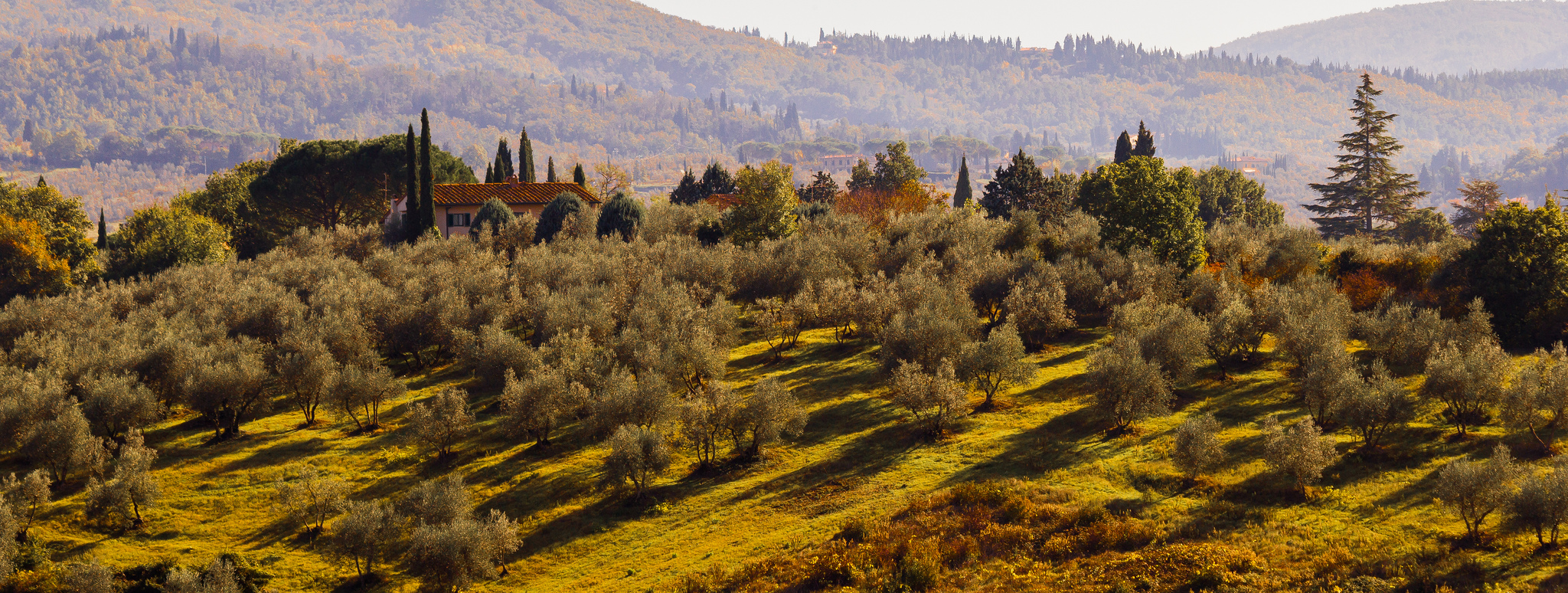 Tuscany Autumn