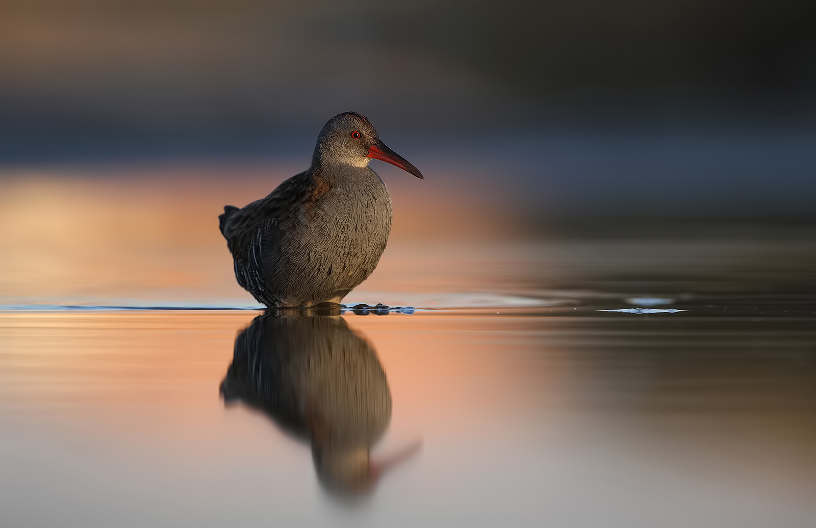 So, the way I like ...