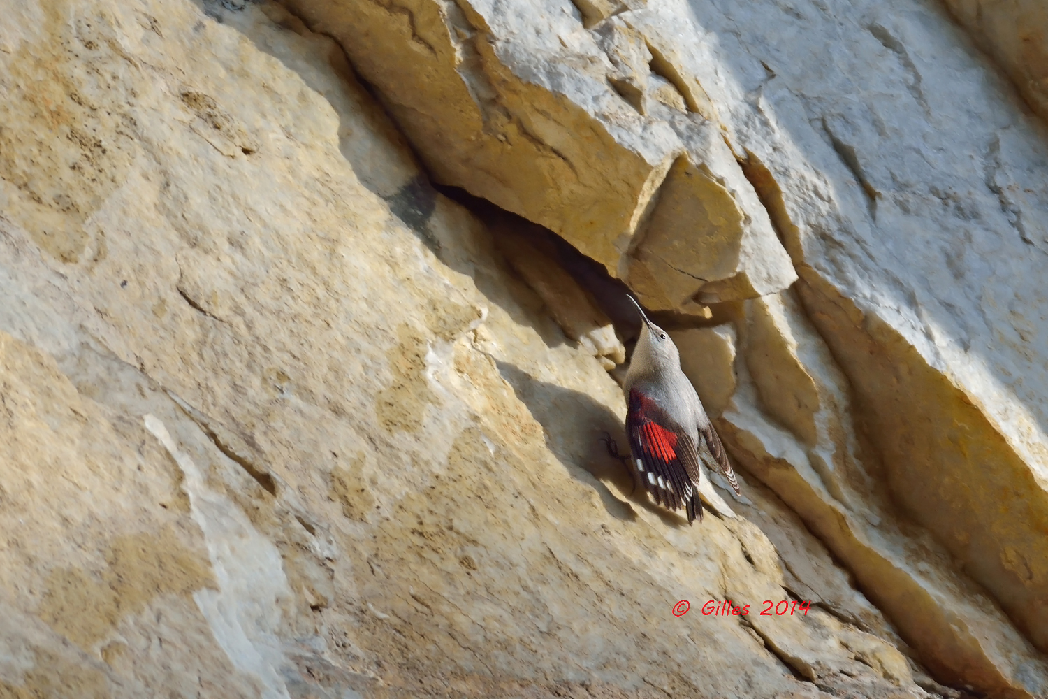 ...guarda verso l'alto...