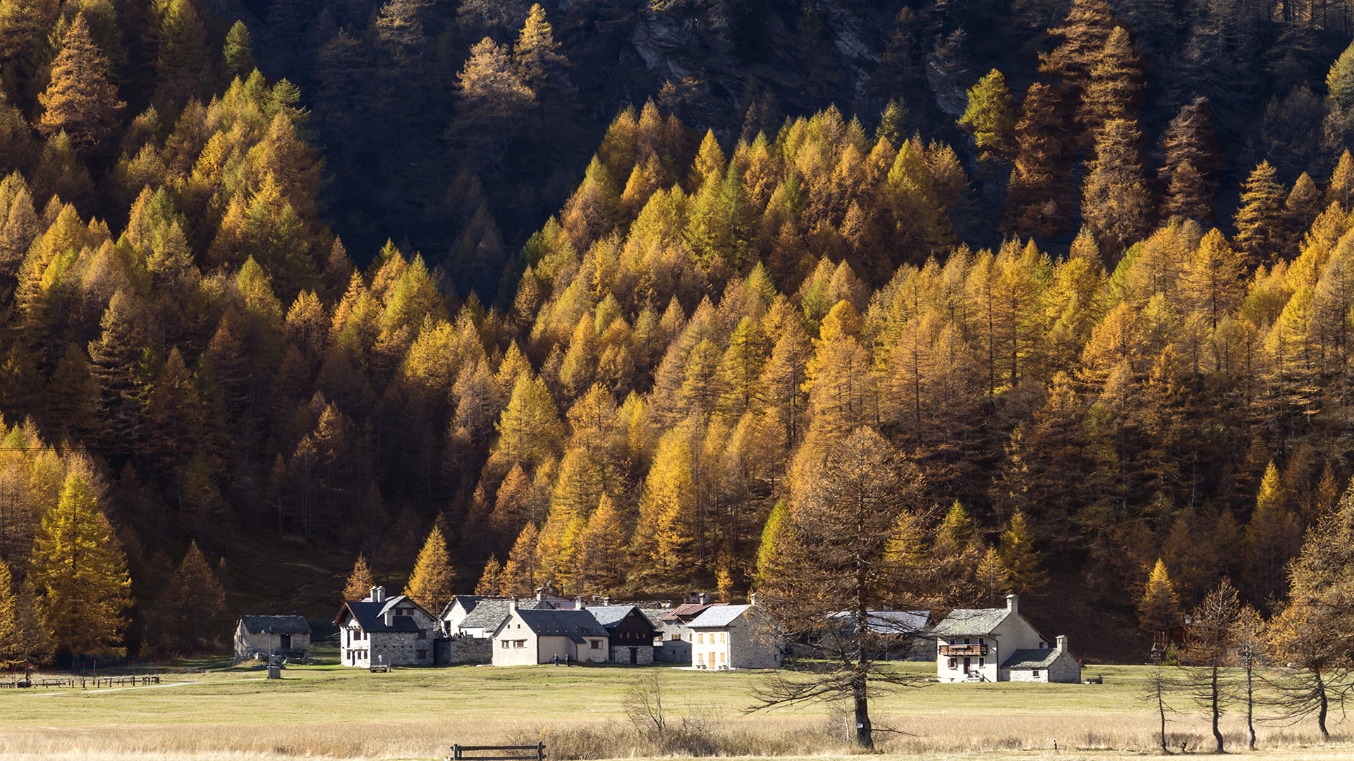 Autunno al Devero