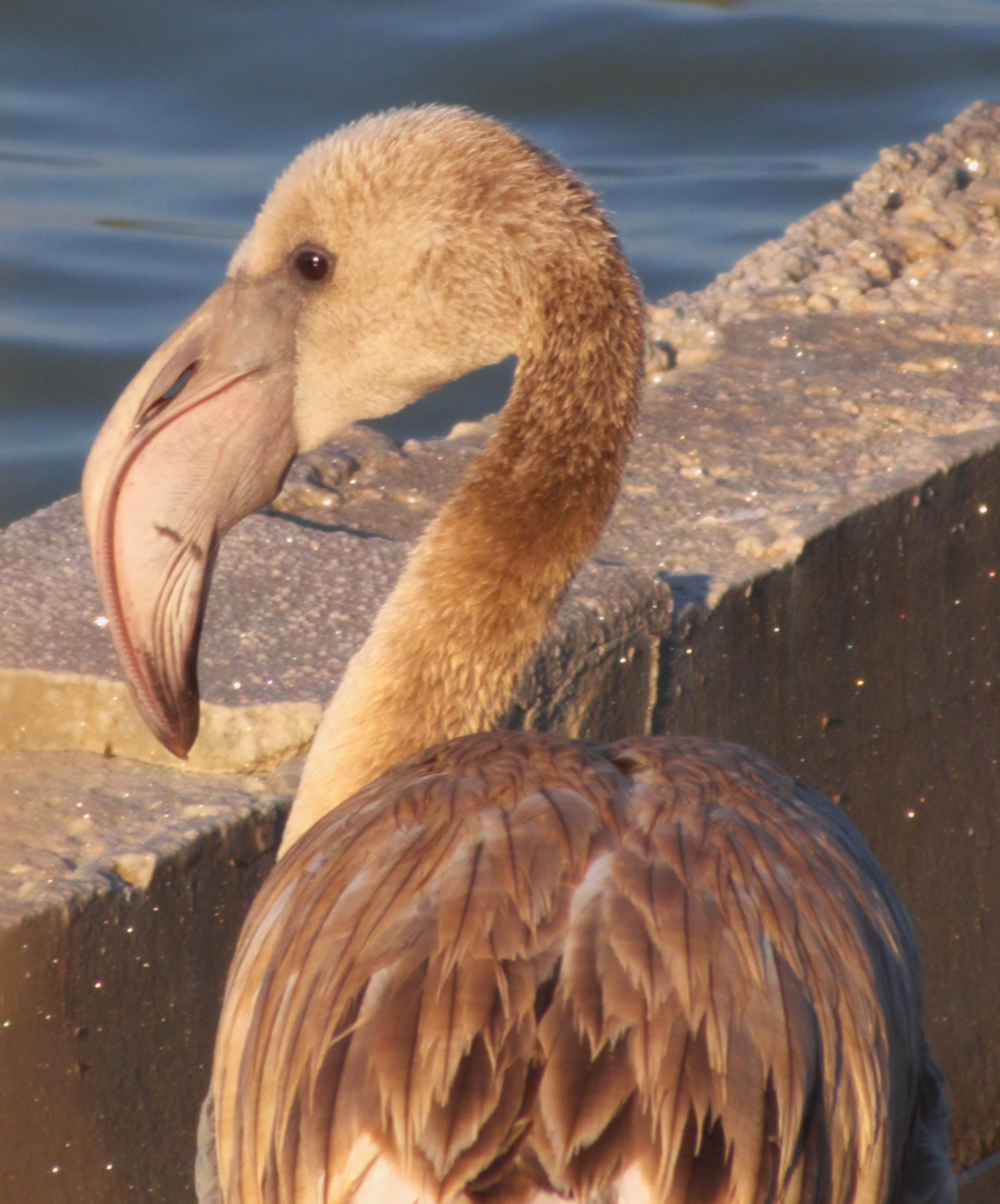 Serenità e curiosità.