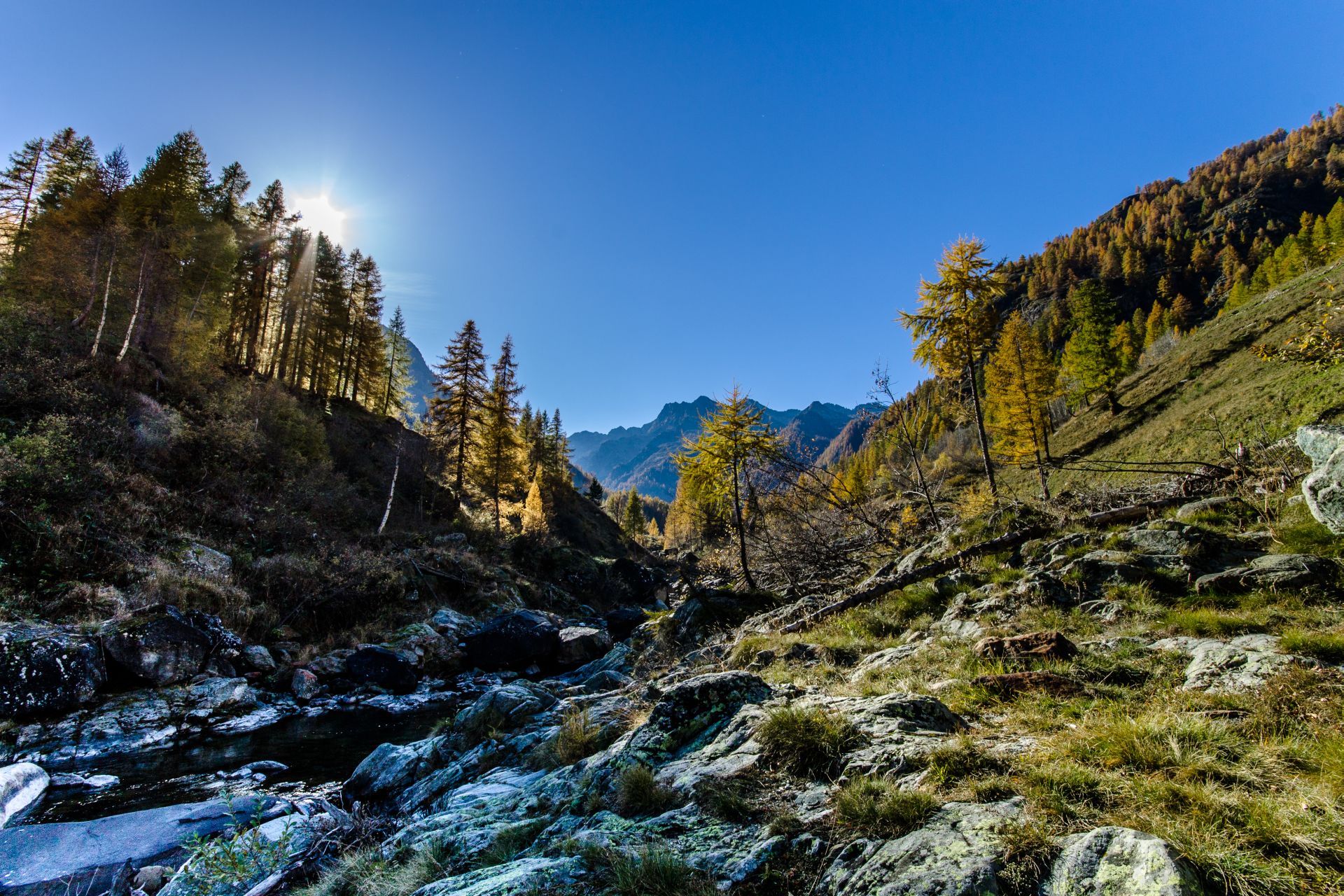 Val Vogna autunno
