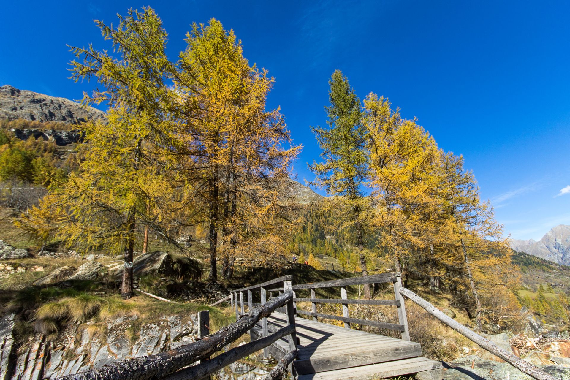 Val Vogna autunno