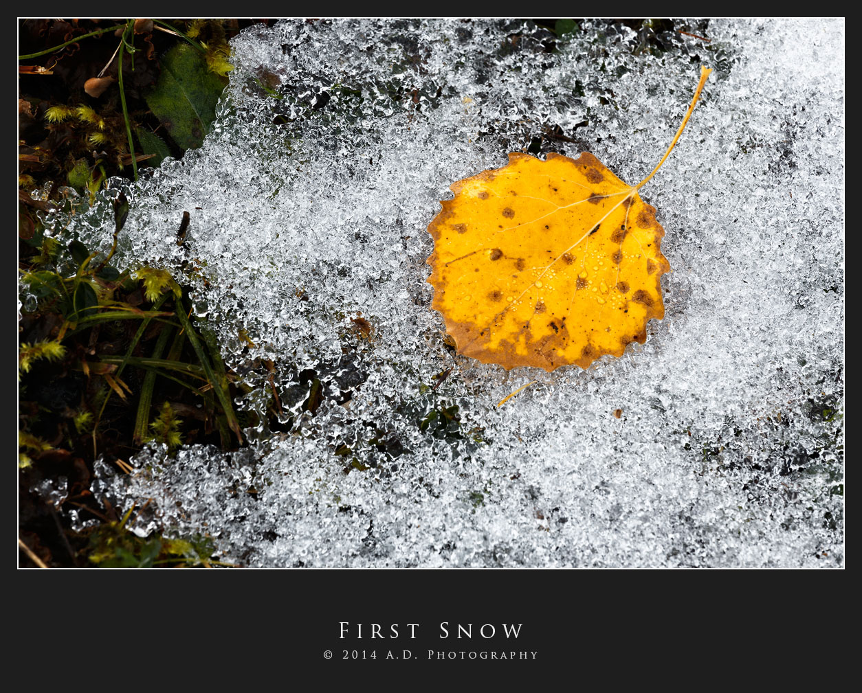 First Snow
