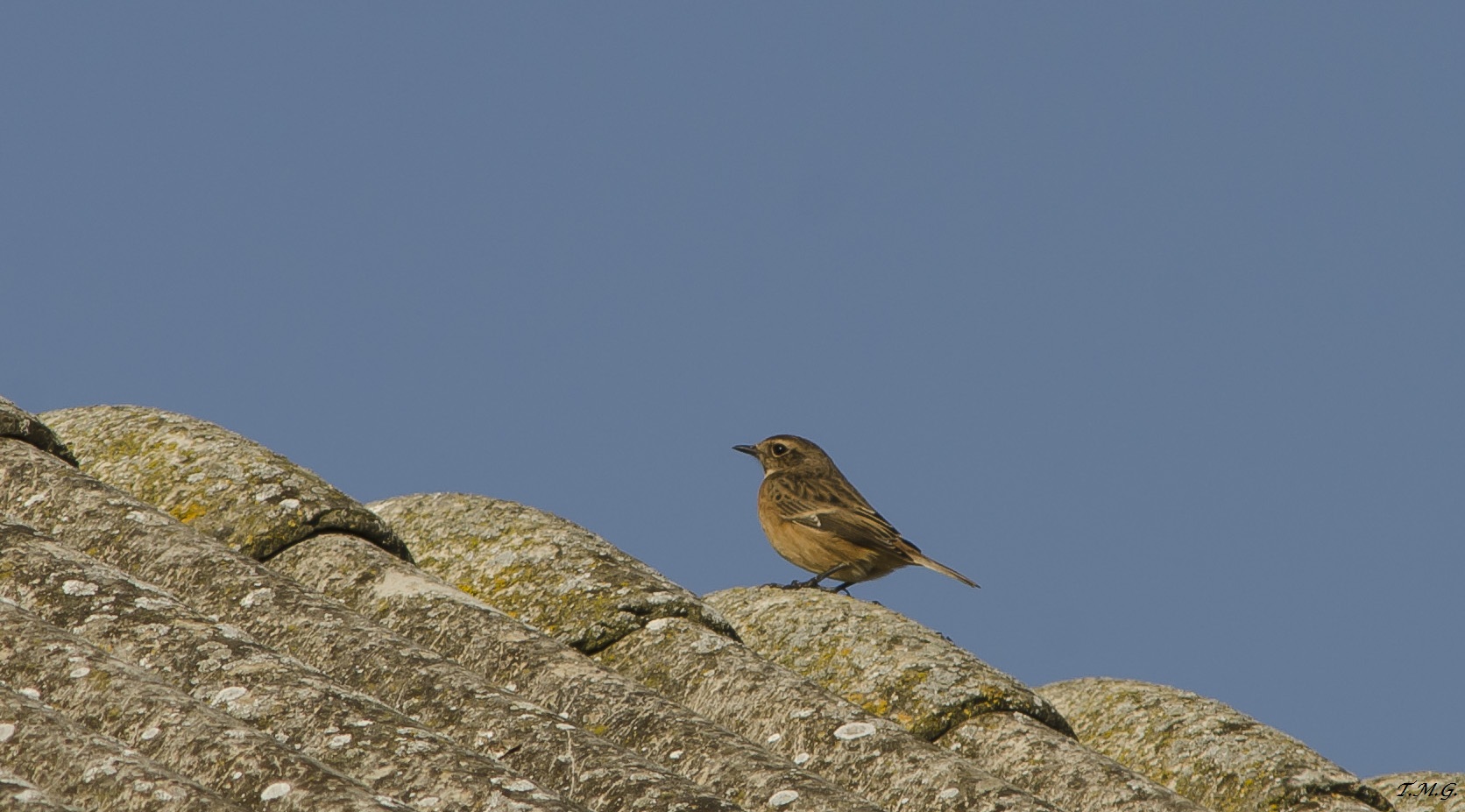 Small little !!! What will it be ???