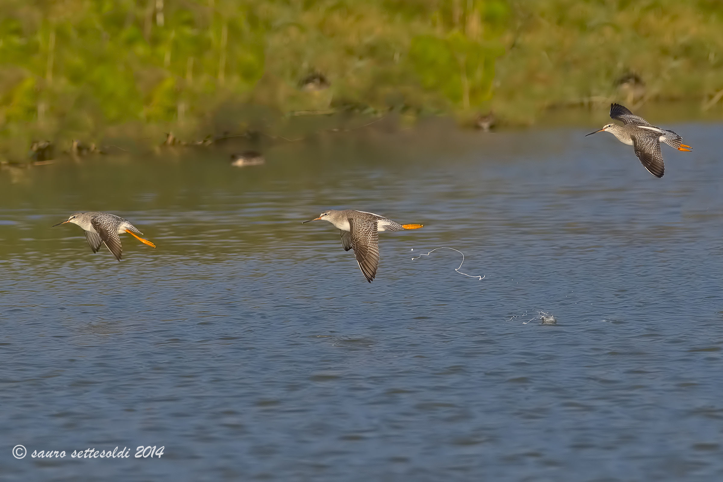 non ne potevo più !!!!!