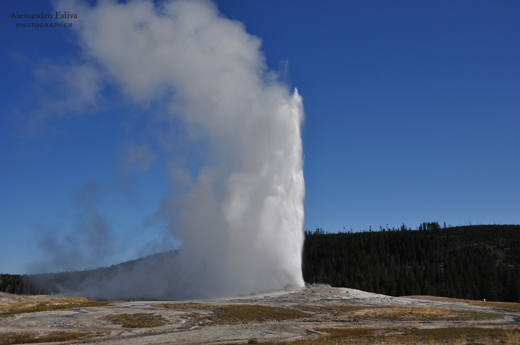 Old Faithful